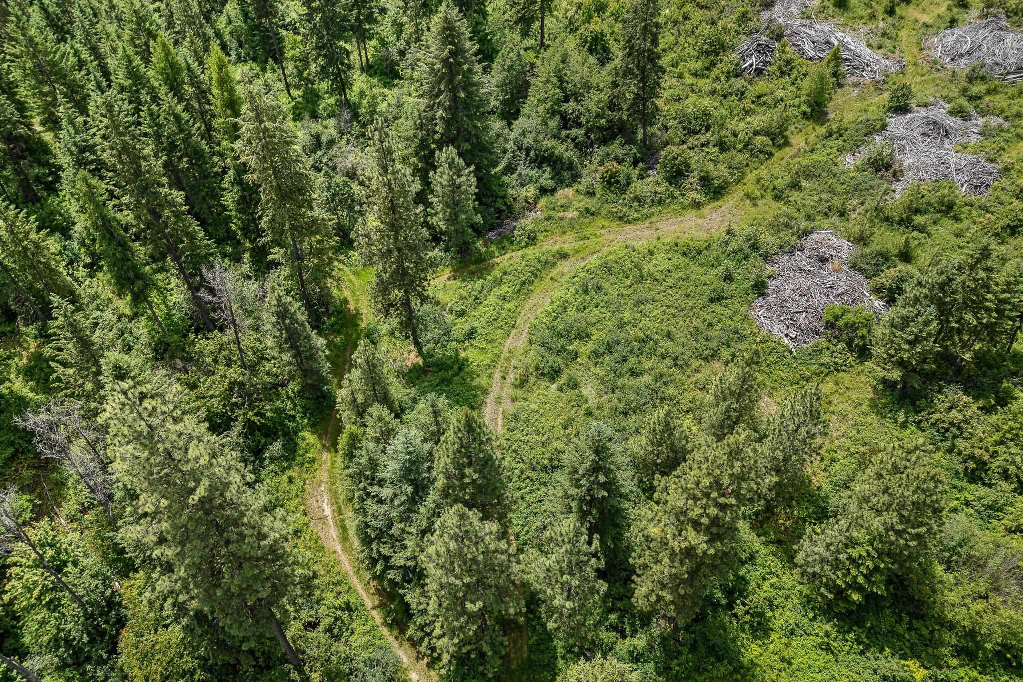 Nna Silver Creek Road Inchelium, WA 99138 - Photo 2 of 40 Gallery Image 2