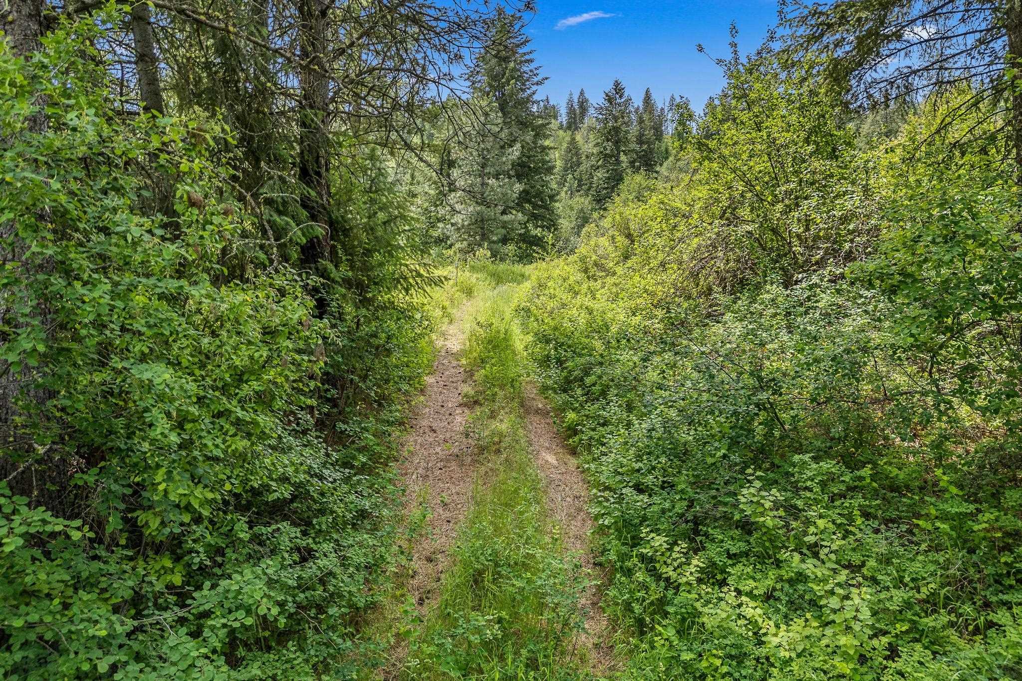Nna Silver Creek Road Inchelium, WA 99138 - Photo 22 of 40 Gallery Image 22