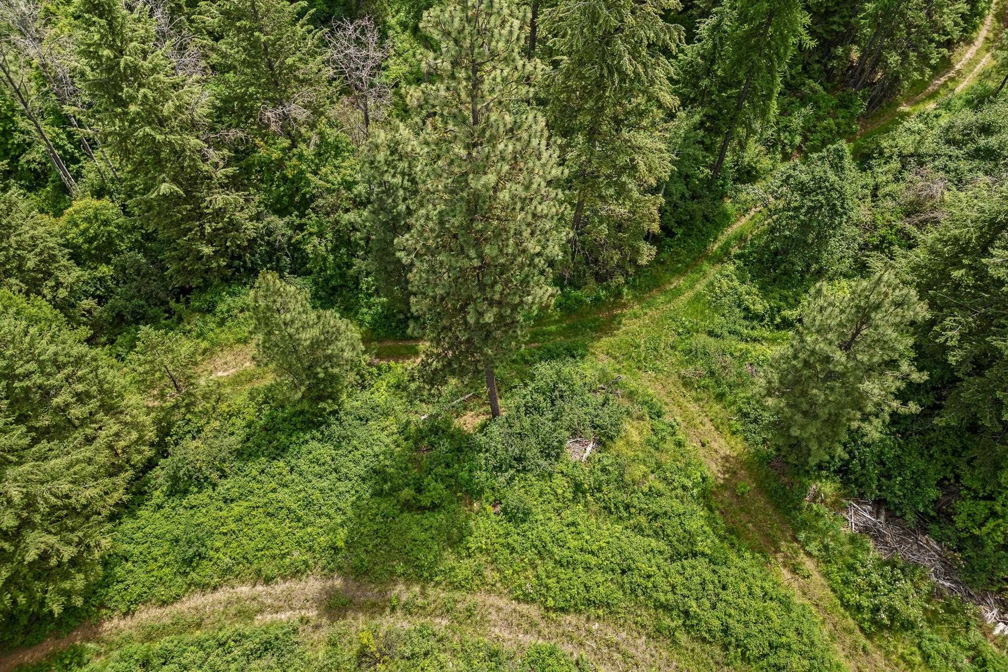 Nna Silver Creek Road Inchelium, WA 99138 - Photo 24 of 40 Gallery Image 24