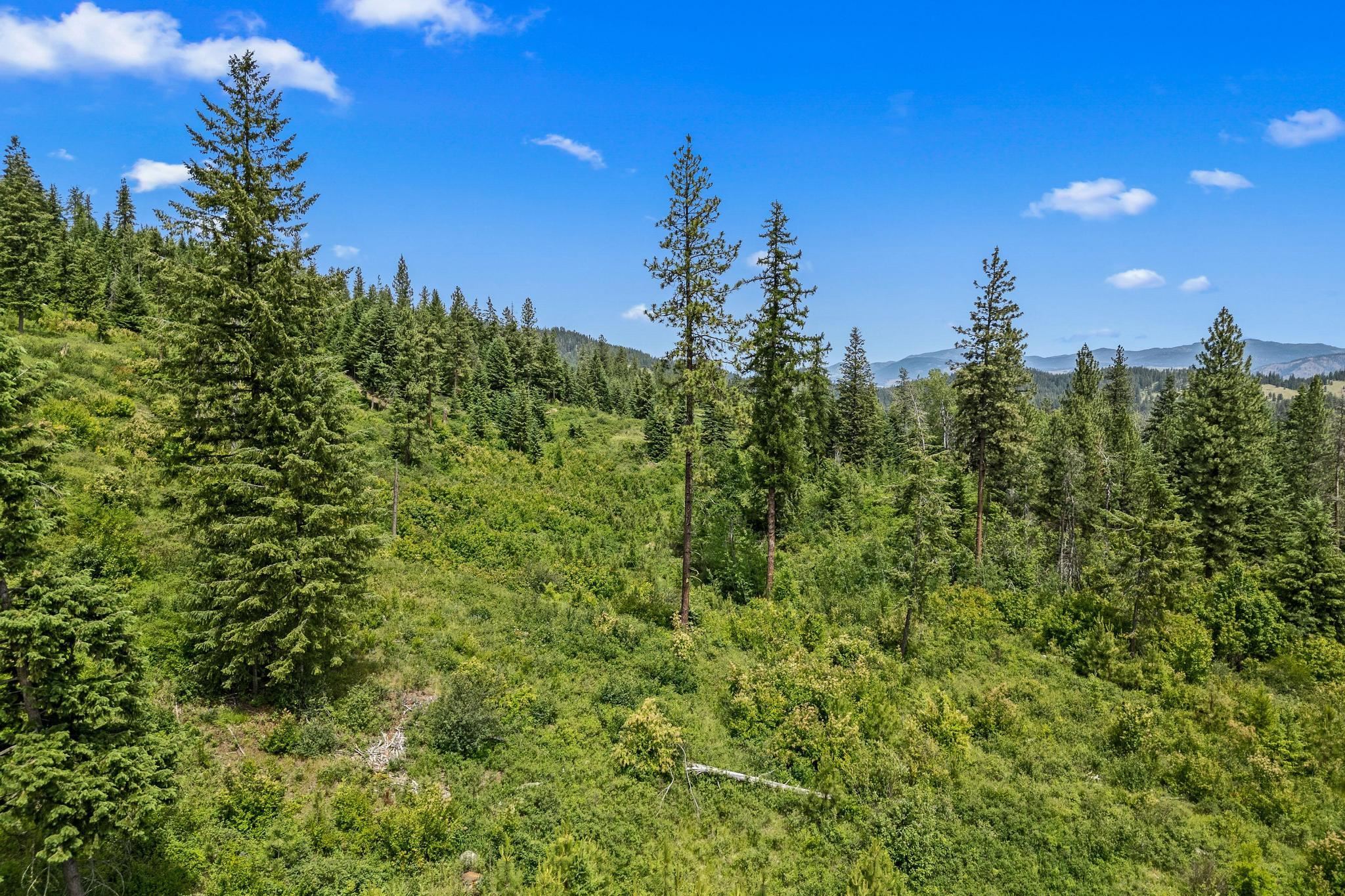 Nna Silver Creek Road Inchelium, WA 99138 - Photo 25 of 40 Gallery Image 25