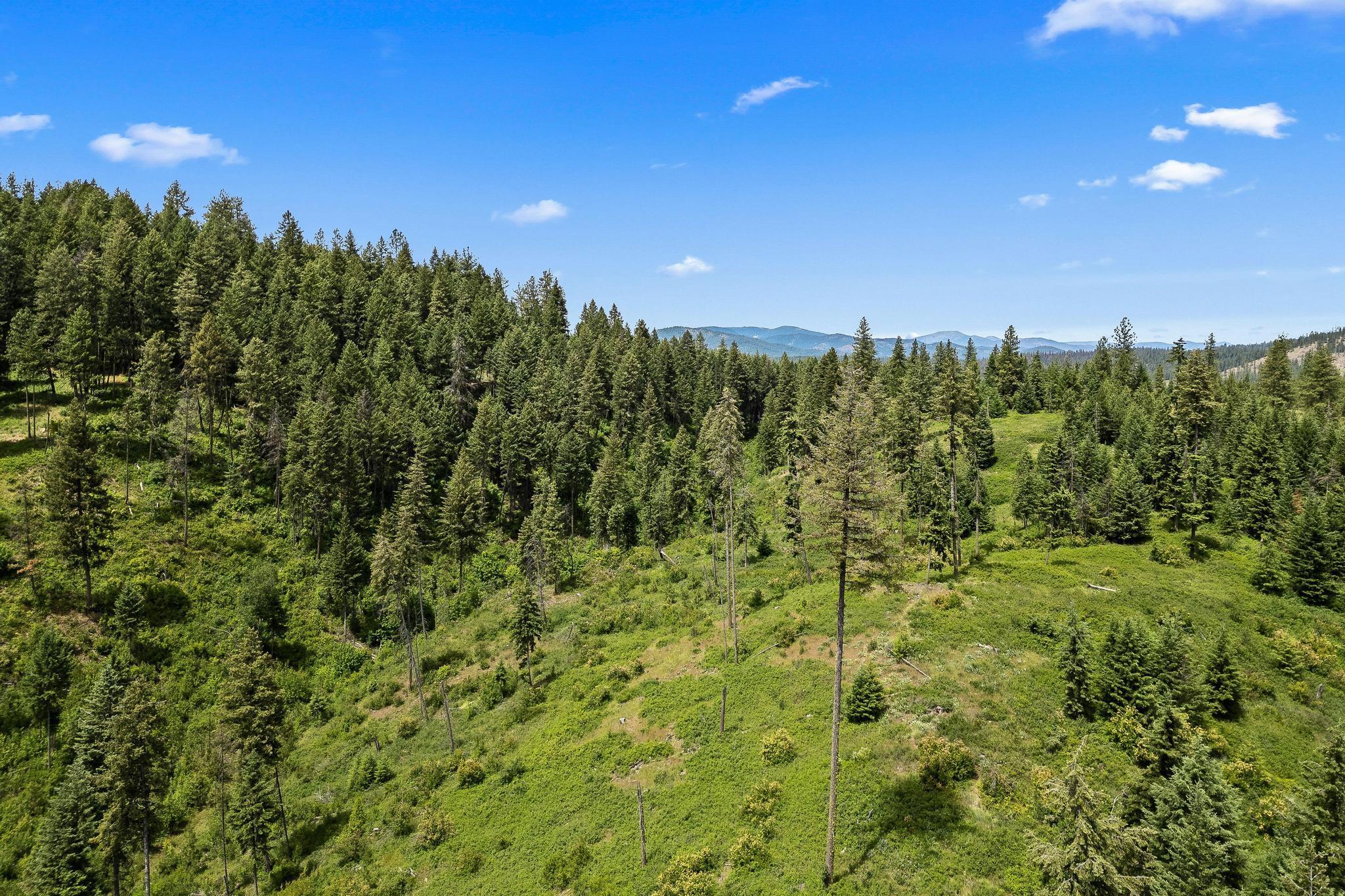Nna Silver Creek Road Inchelium, WA 99138 - Photo 39 of 40 Gallery Image 39