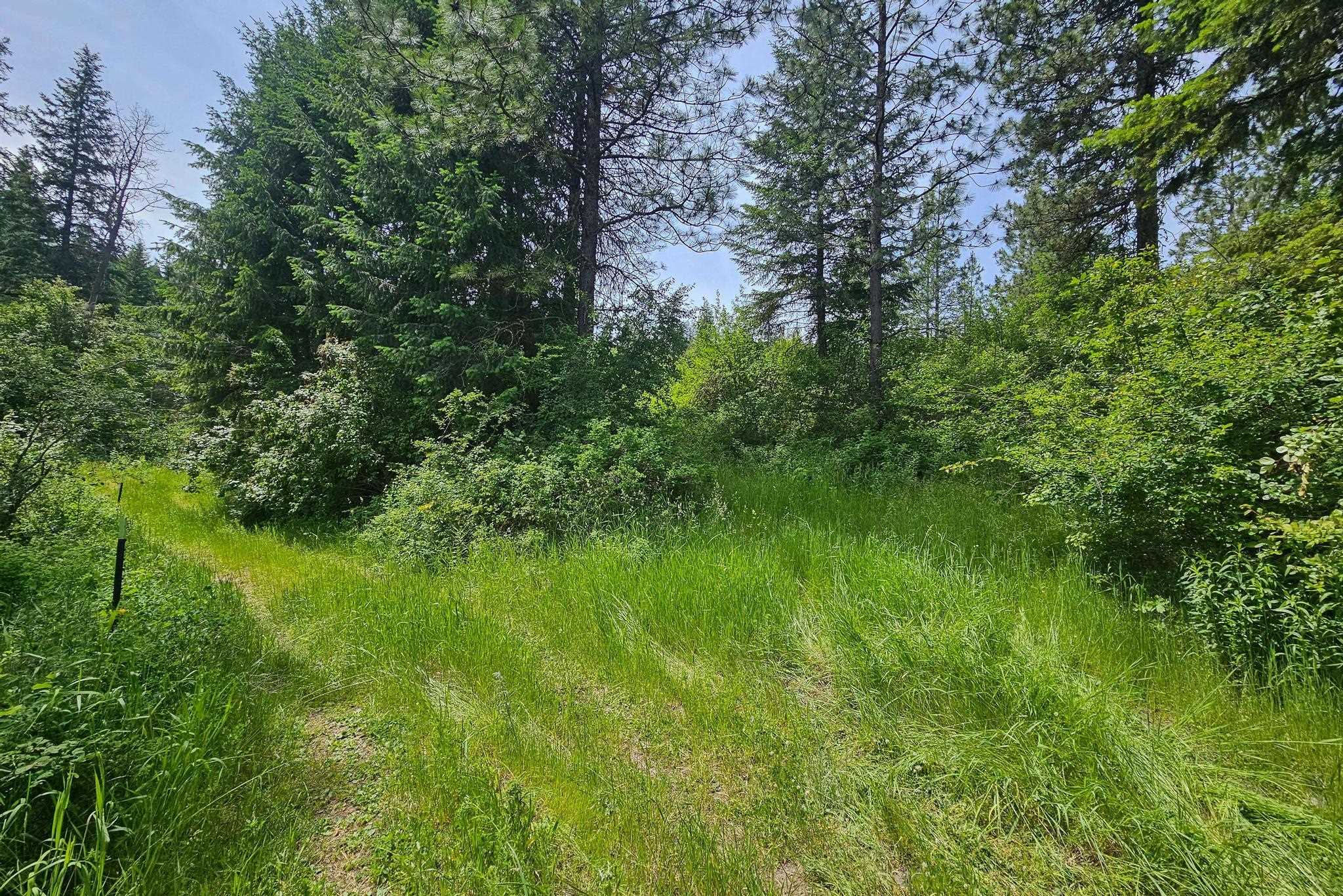 Nna Silver Creek Road Inchelium, WA 99138 - Photo 4 of 40 Gallery Image 4