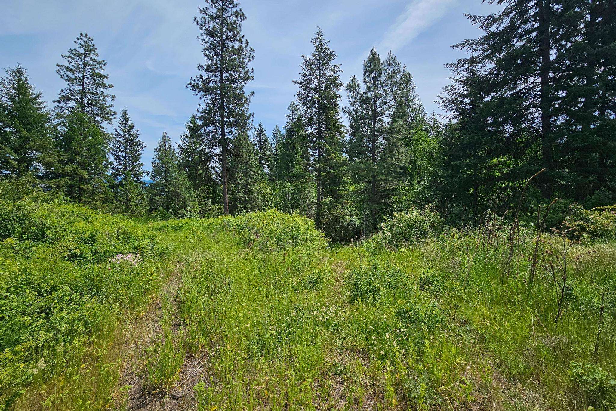Nna Silver Creek Road Inchelium, WA 99138 - Photo 8 of 40 Gallery Image 8