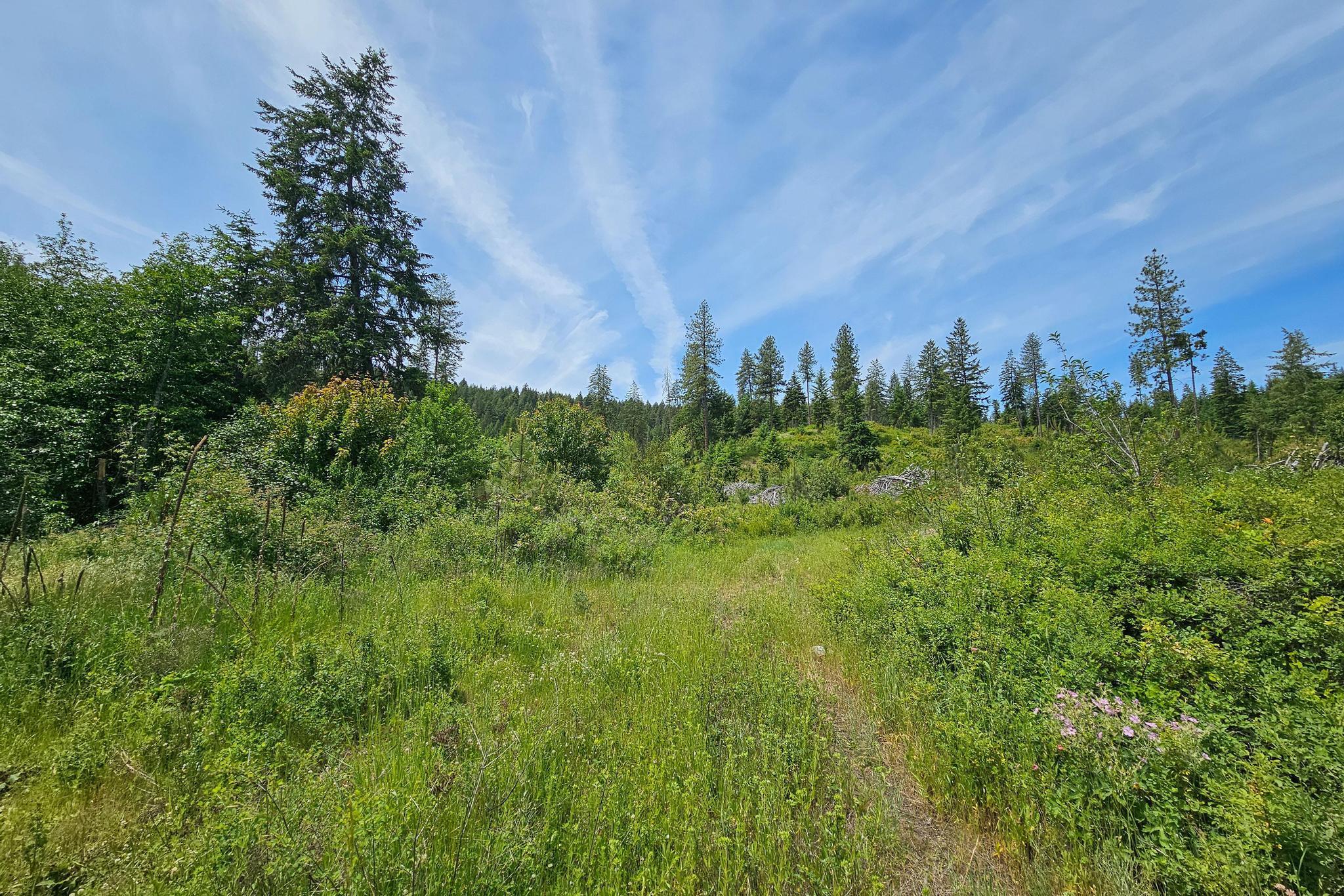 Nna Silver Creek Road Inchelium, WA 99138 - Photo 9 of 40 Gallery Image 9