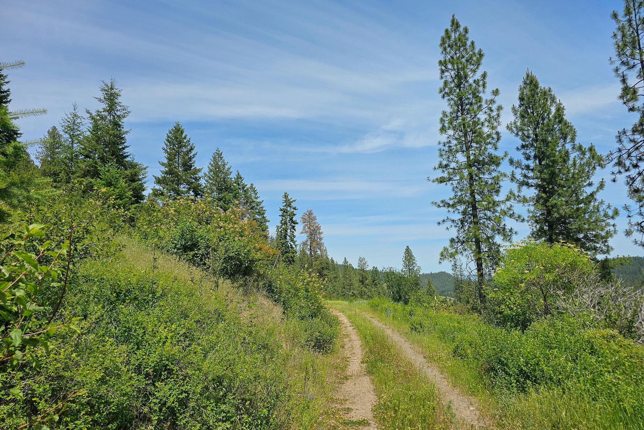 Nna Silver Creek Road Inchelium, WA 99138 - Photo 10 of 40 Gallery Image 10