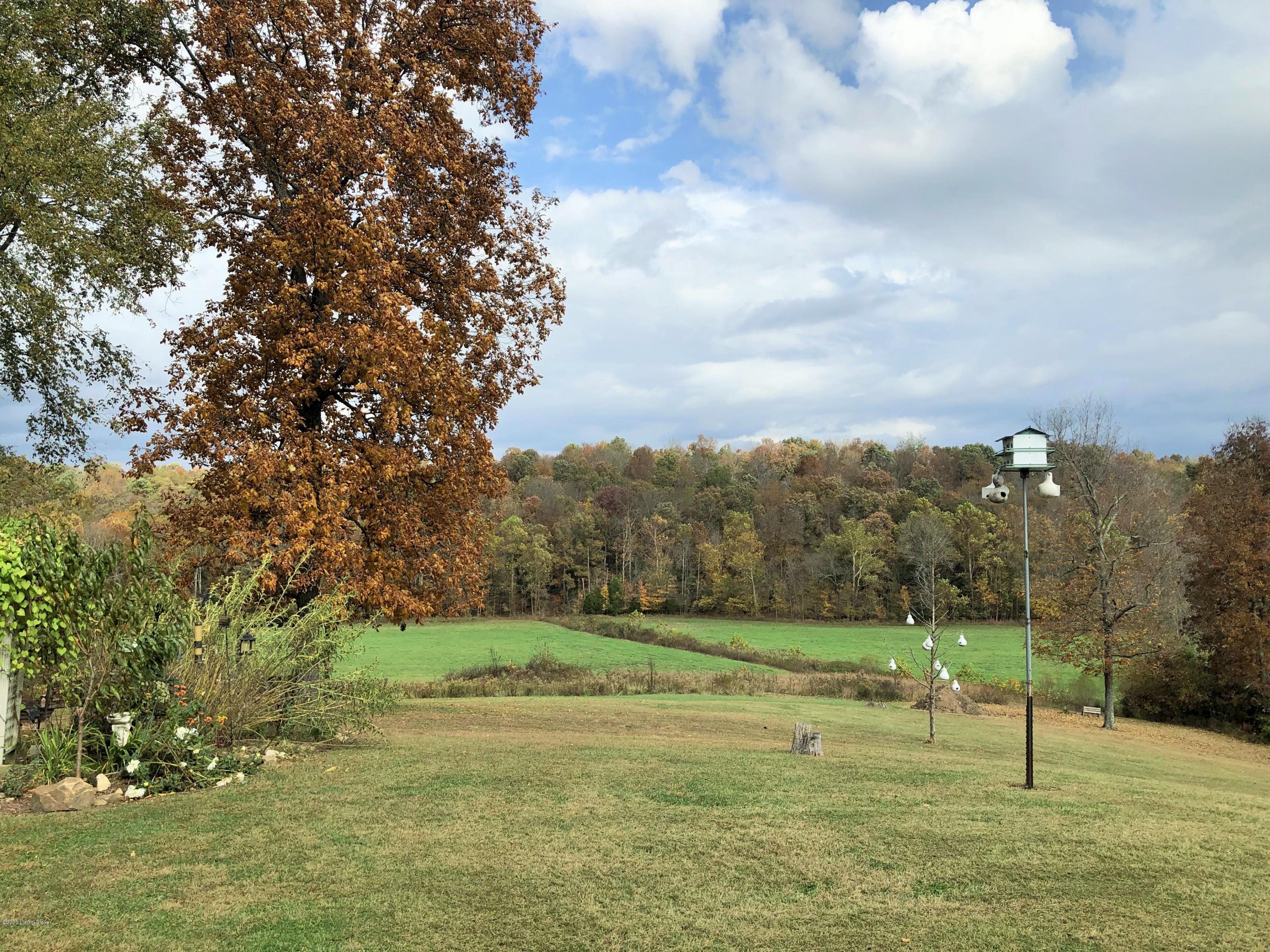 243 Old Peth Road Caneyville, KY 42721 - Photo 21 of 72 2020-10-23_11-51-02_506 (2)