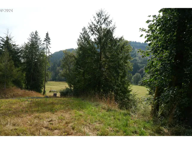 $350,000 | Nehalem Highway North, Vernonia, OR 97064