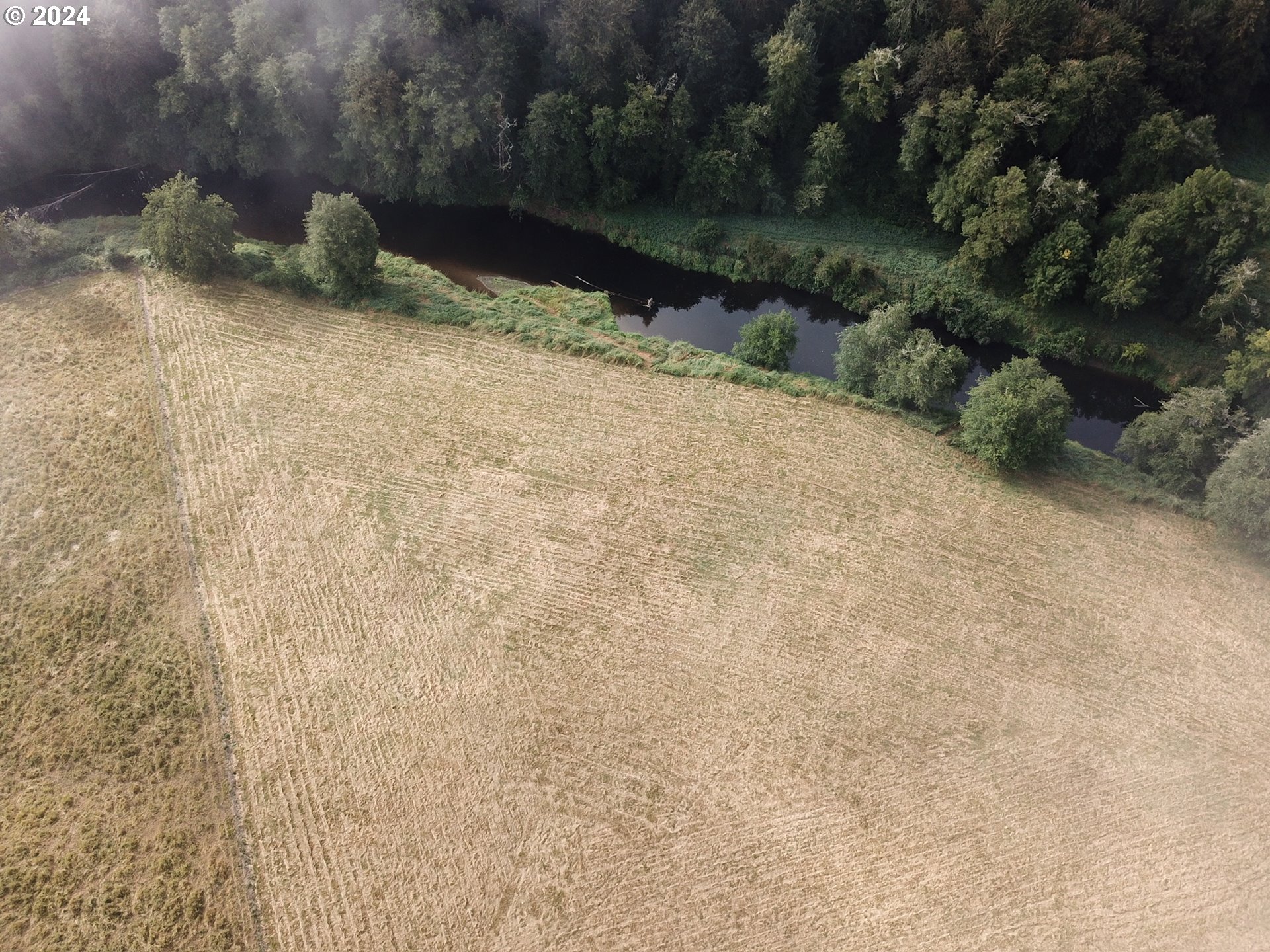 Nehalem Highway North Vernonia, OR 97064 - Photo 4 of 12
