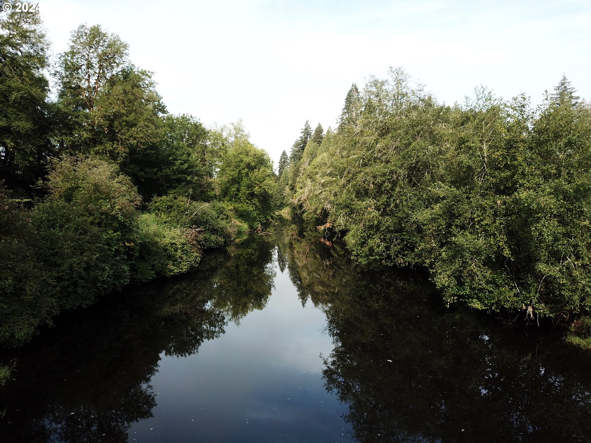 Nehalem Highway North Vernonia, OR 97064 - Photo 6 of 12