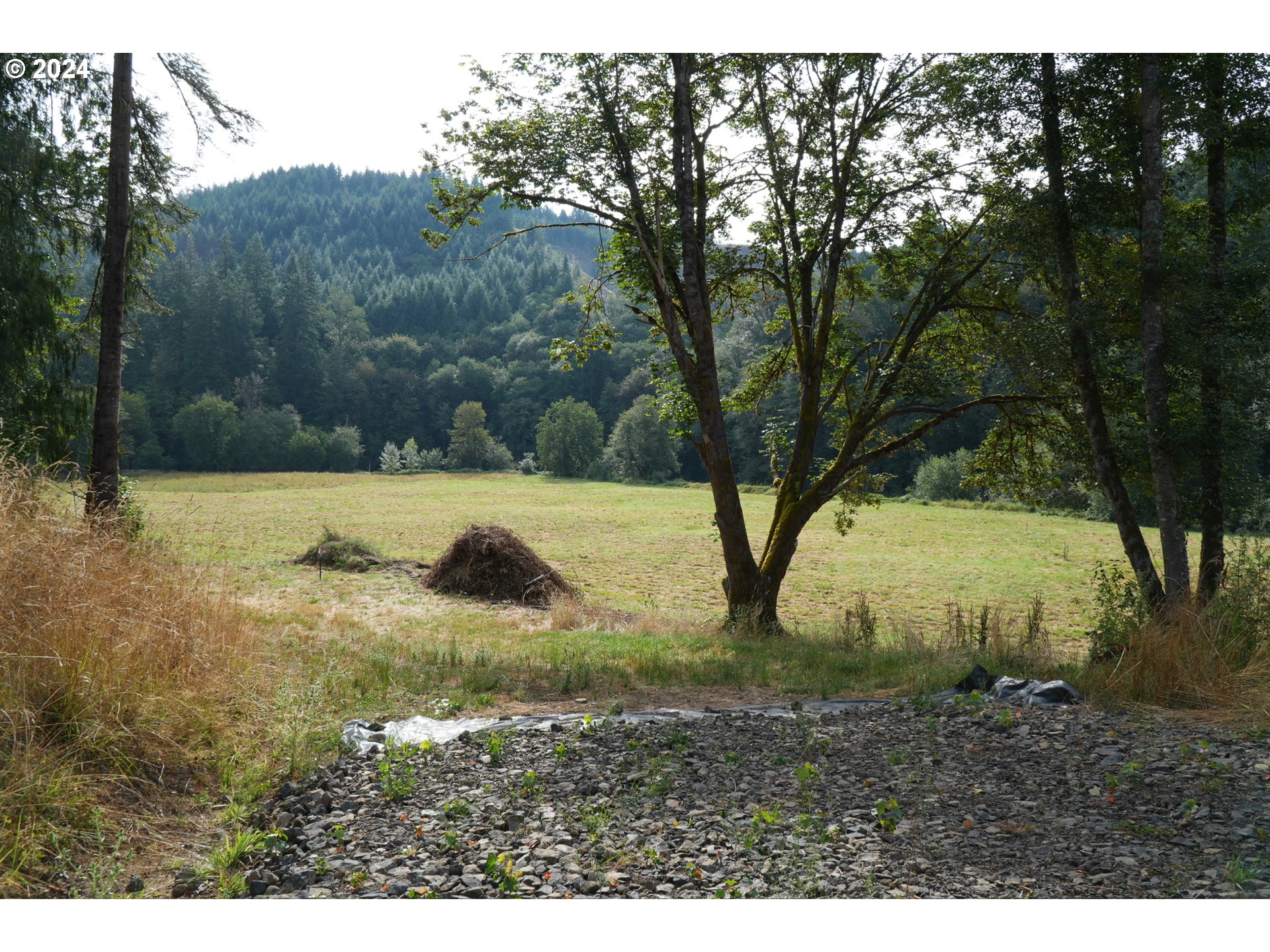 Nehalem Highway North Vernonia, OR 97064 - Photo 7 of 12