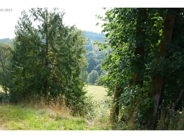 $350,000 | Nehalem Highway North, Vernonia, OR 97064