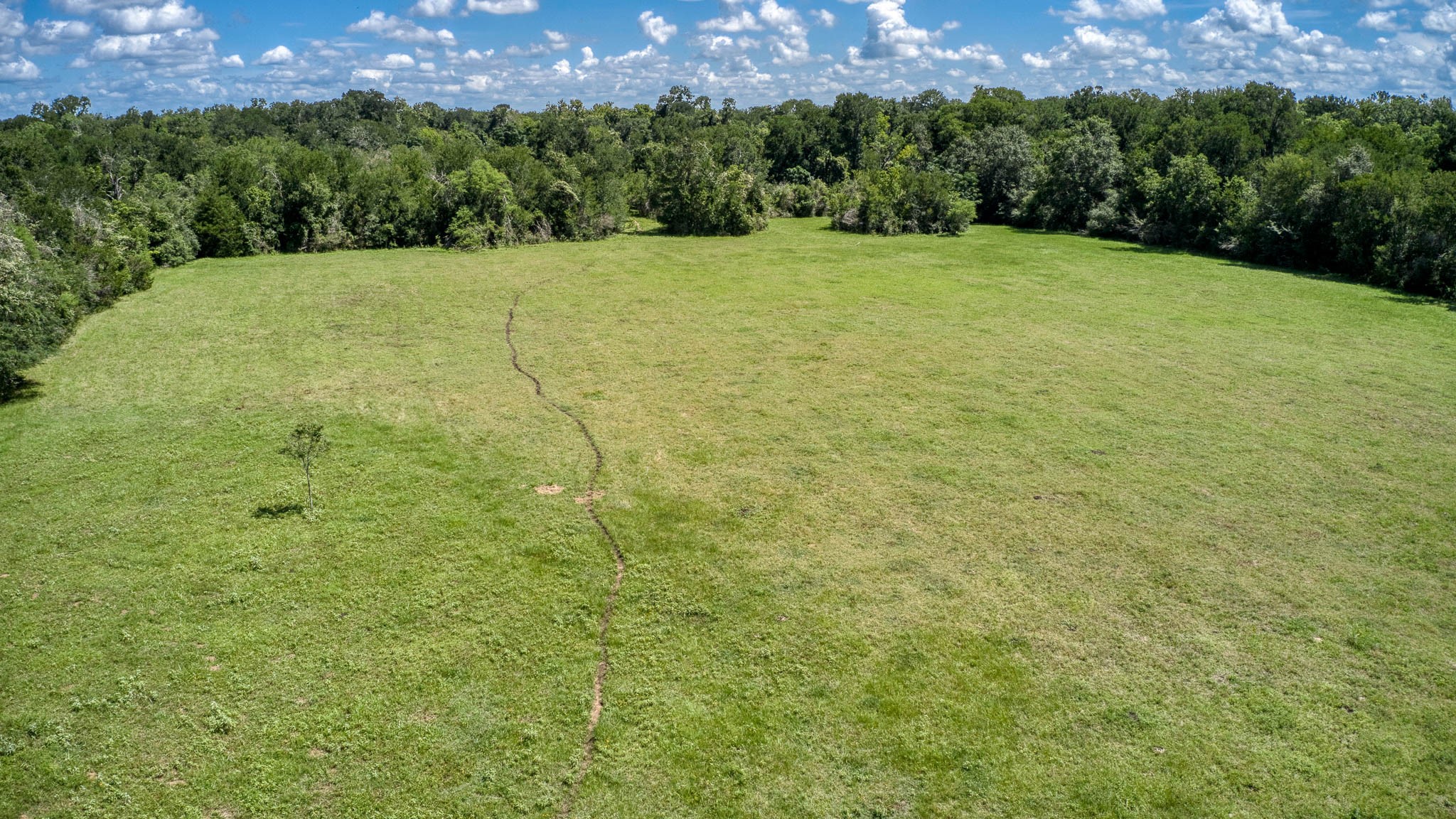 Tbd Holik Road Hempstead, TX 77445 - Photo 11 of 50