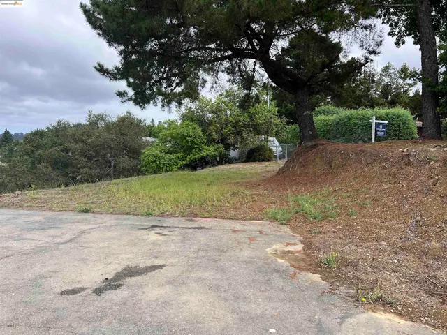 a view of a yard with a tree