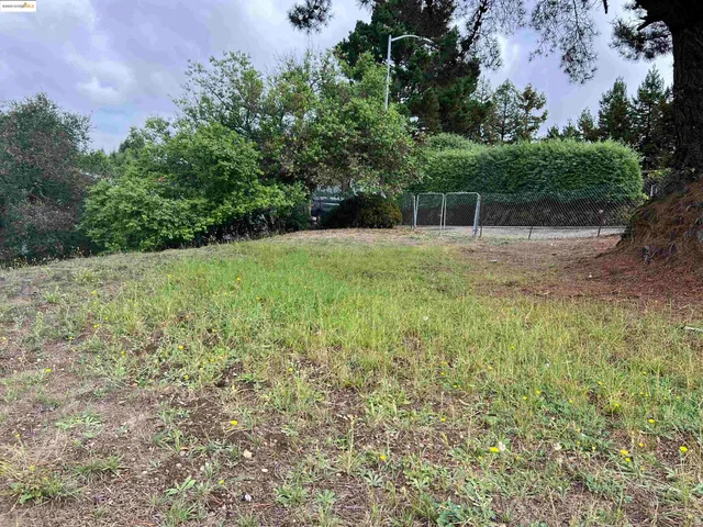 a view of backyard with green space