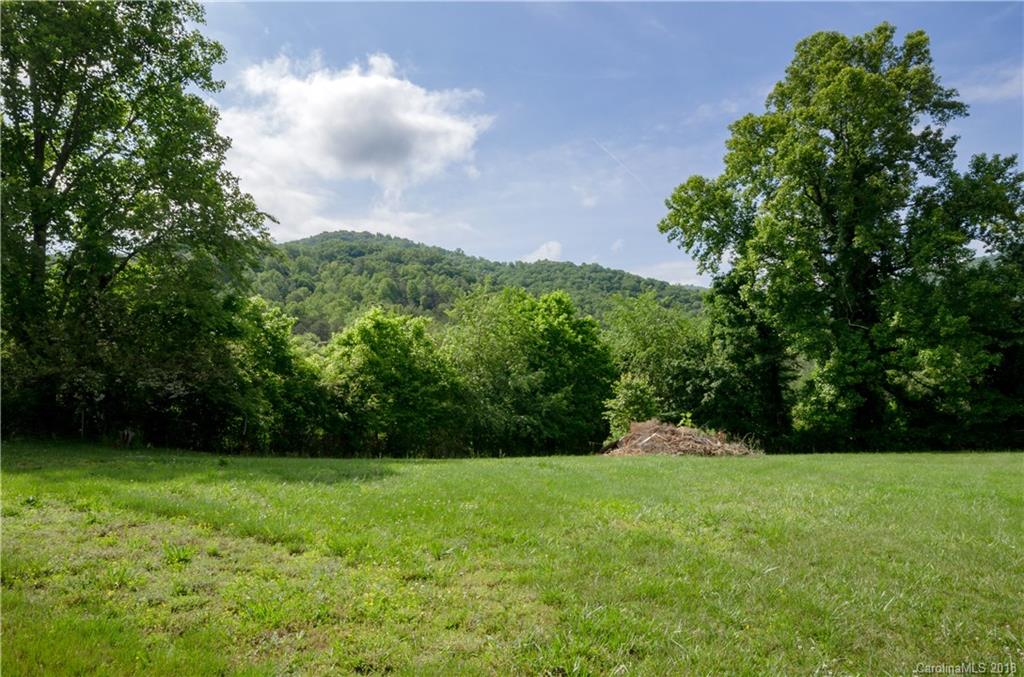 452 Souther Road Fletcher, NC 28732 - Photo 22 of 24 a view of outdoor space and yard