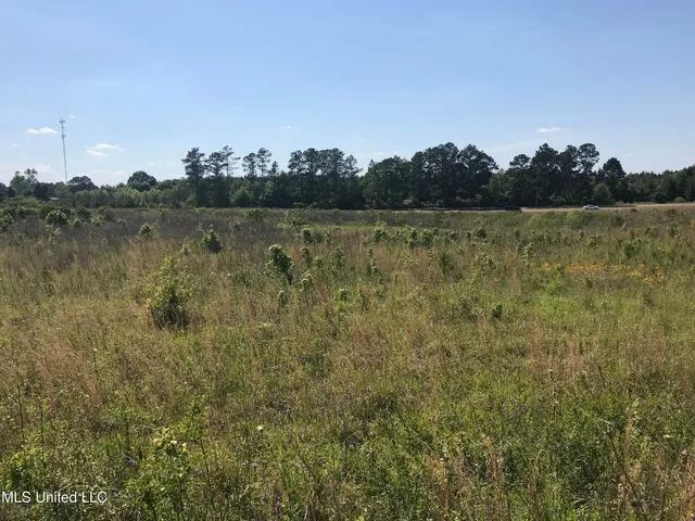 $3,450,000 | 1338 B Brookway Boulevard, Brookhaven, MS 39601