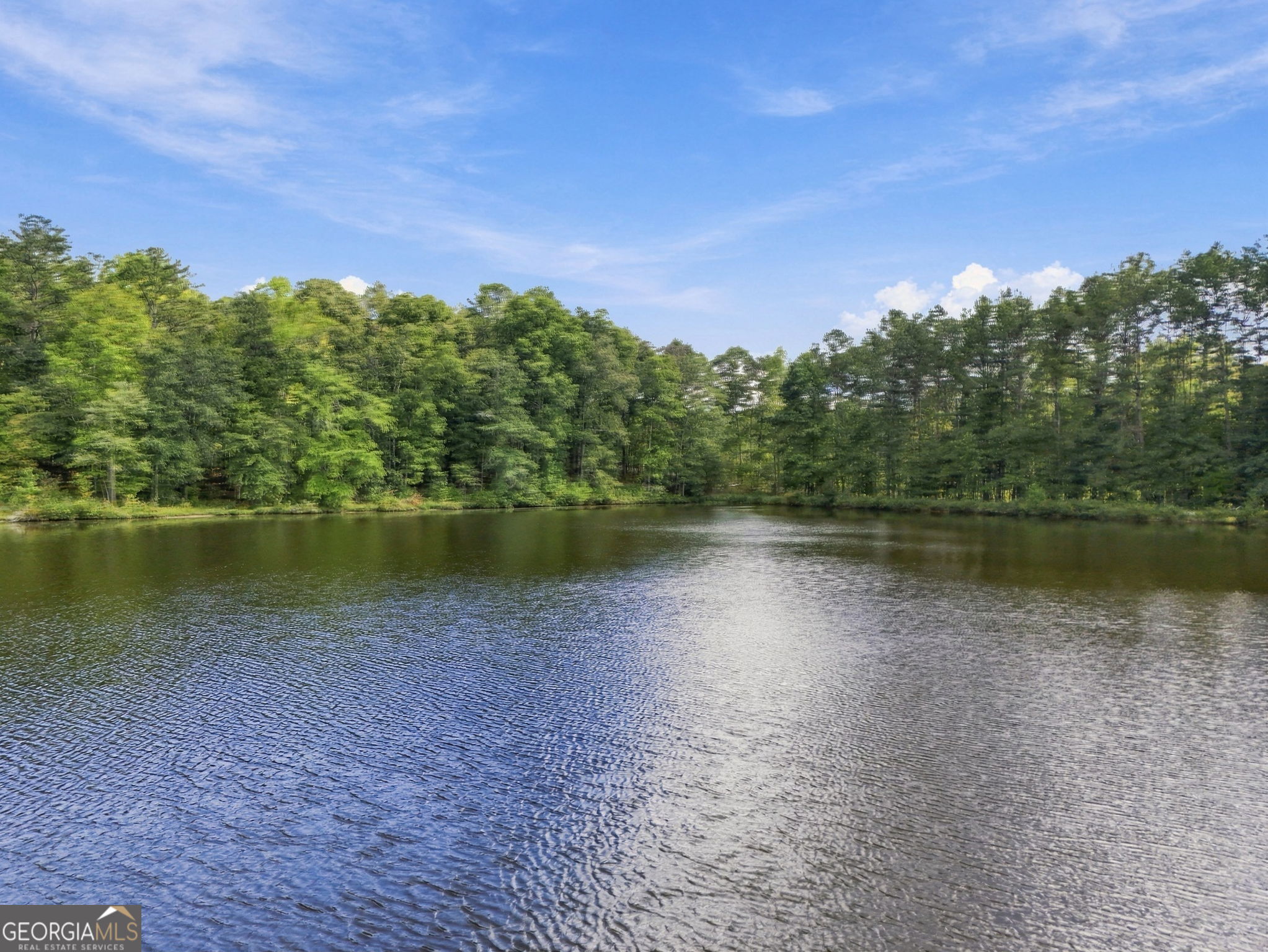 212 Aaron Young Road Newnan, GA 30263 - Photo 57 of 62 Gallery Image 57