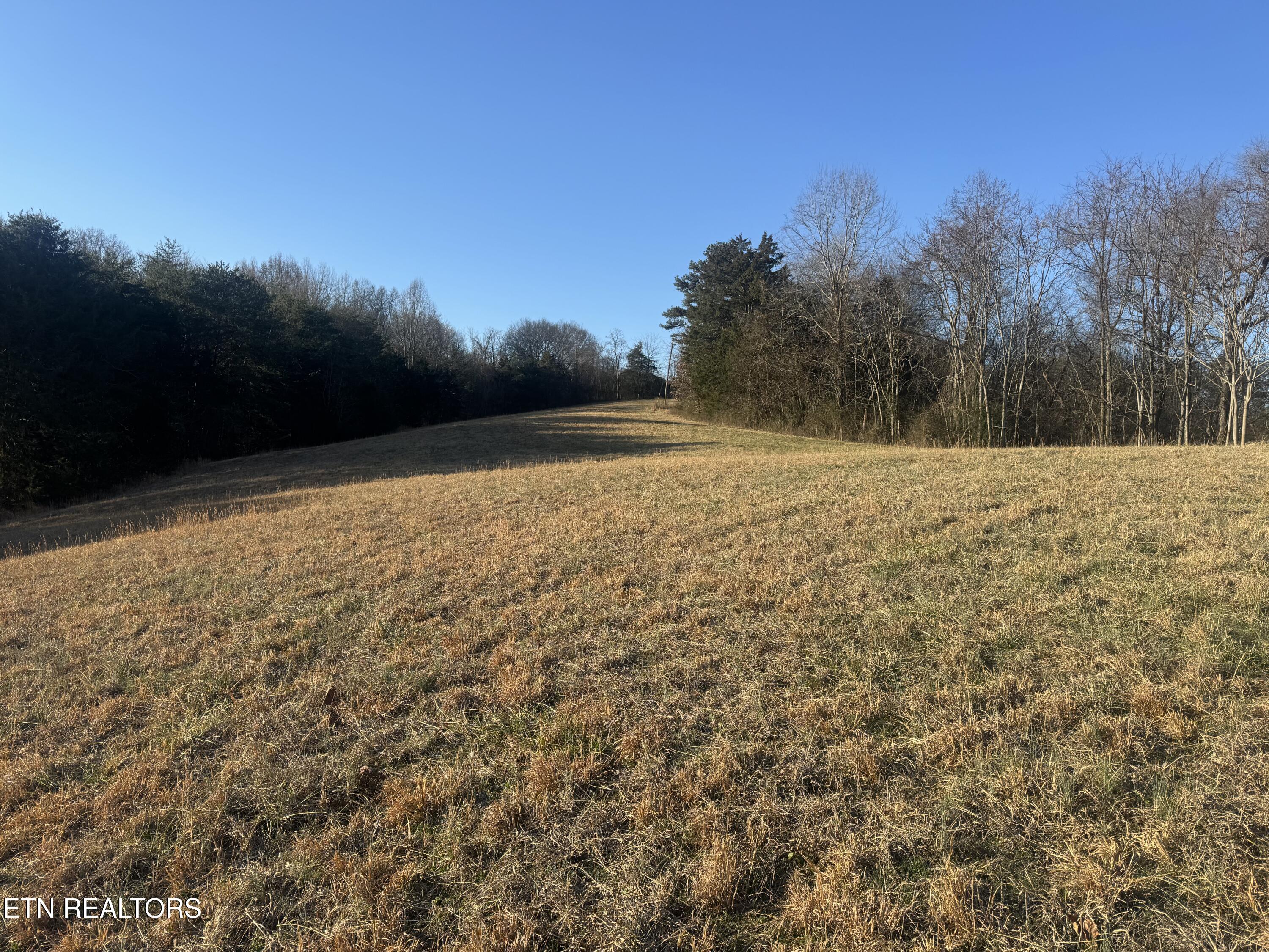 2490 Whittle Road New Market, TN 37820 - Photo 20 of 41 IMG_9941