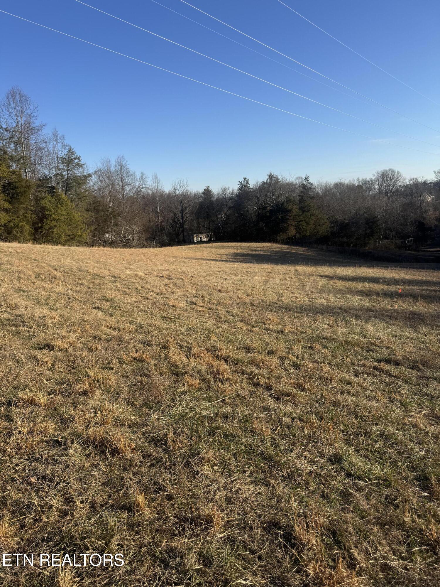 2490 Whittle Road New Market, TN 37820 - Photo 27 of 41 IMG_9948