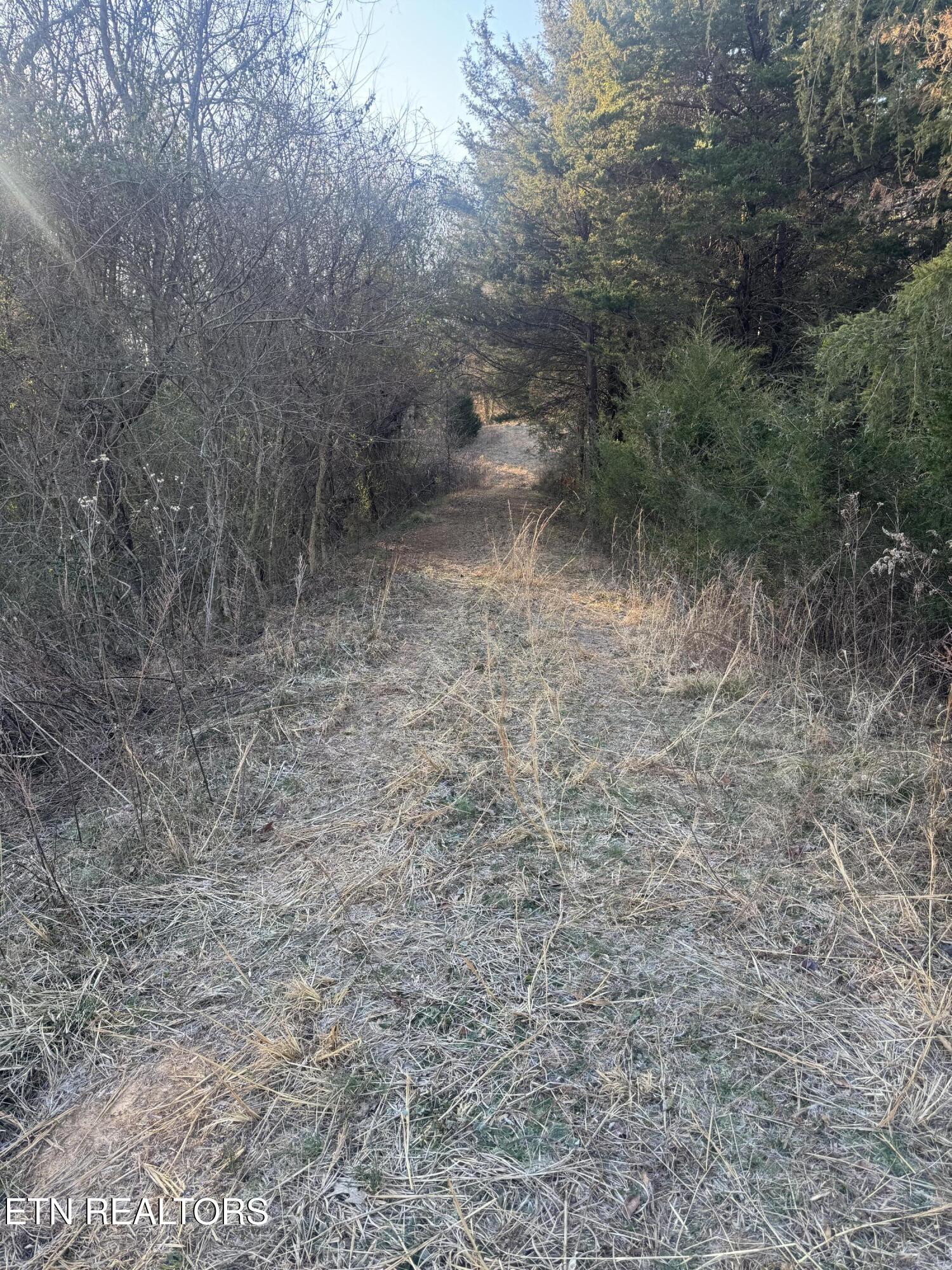 2490 Whittle Road New Market, TN 37820 - Photo 28 of 41 IMG_9949