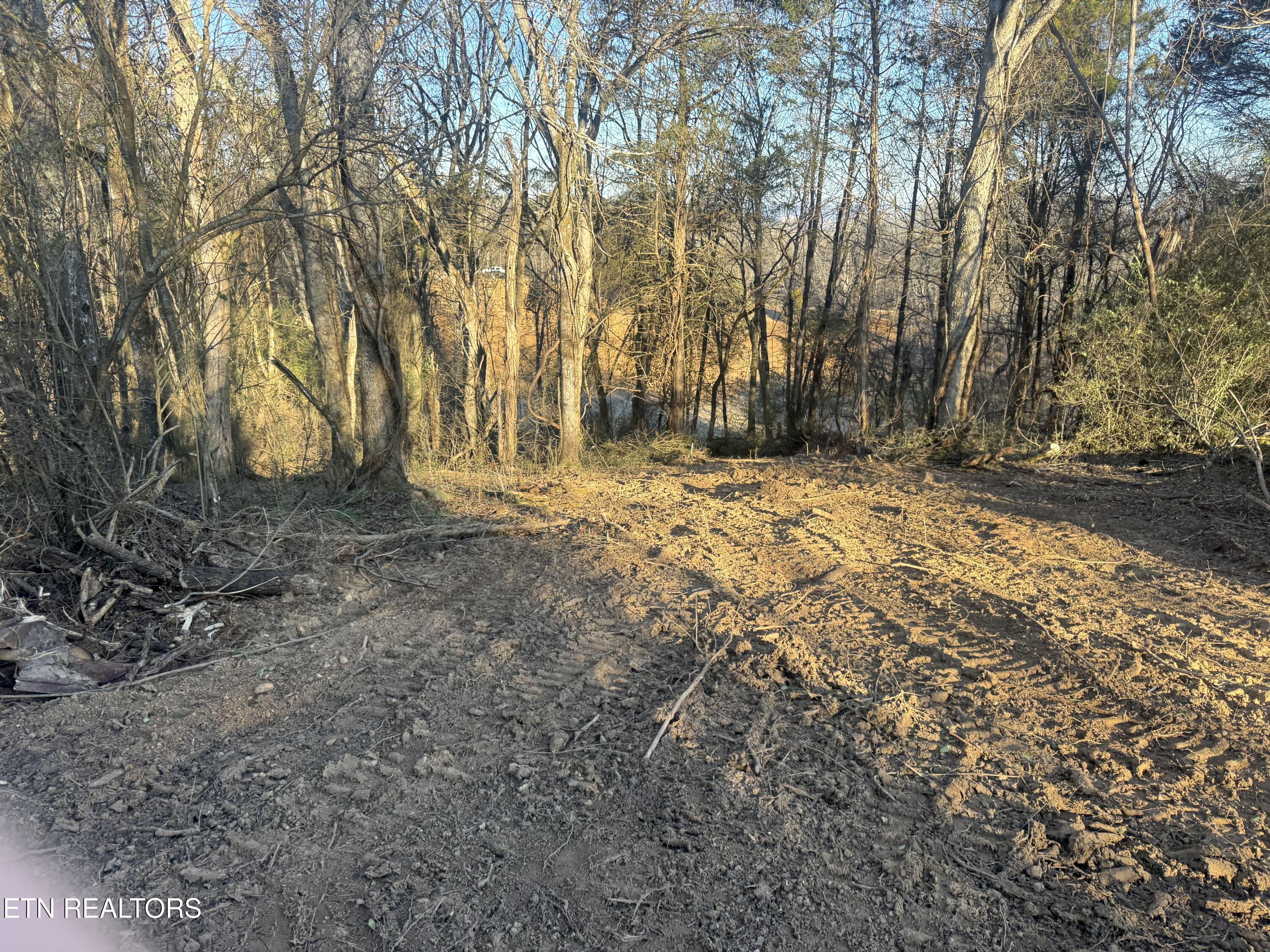 2490 Whittle Road New Market, TN 37820 - Photo 33 of 41 IMG_9955