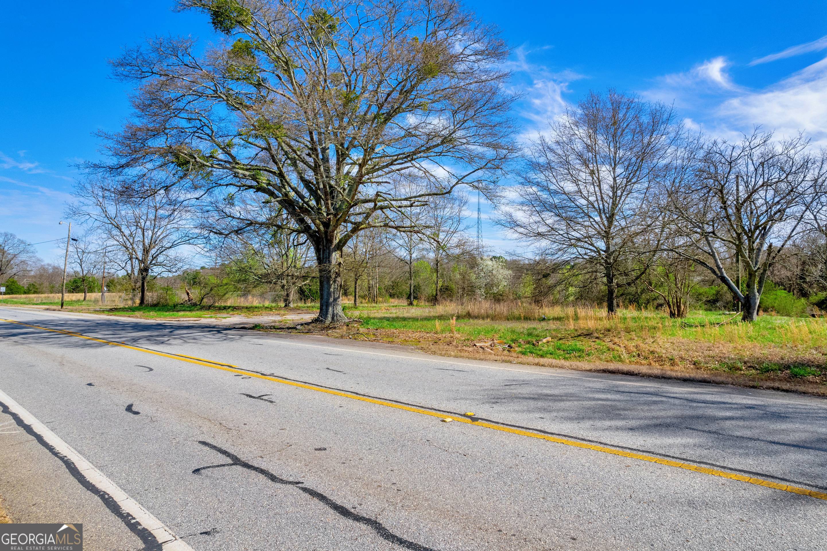 526 Madison Street Commerce, GA 30529 - Photo 22 of 23 a view of a yard with plants and trees