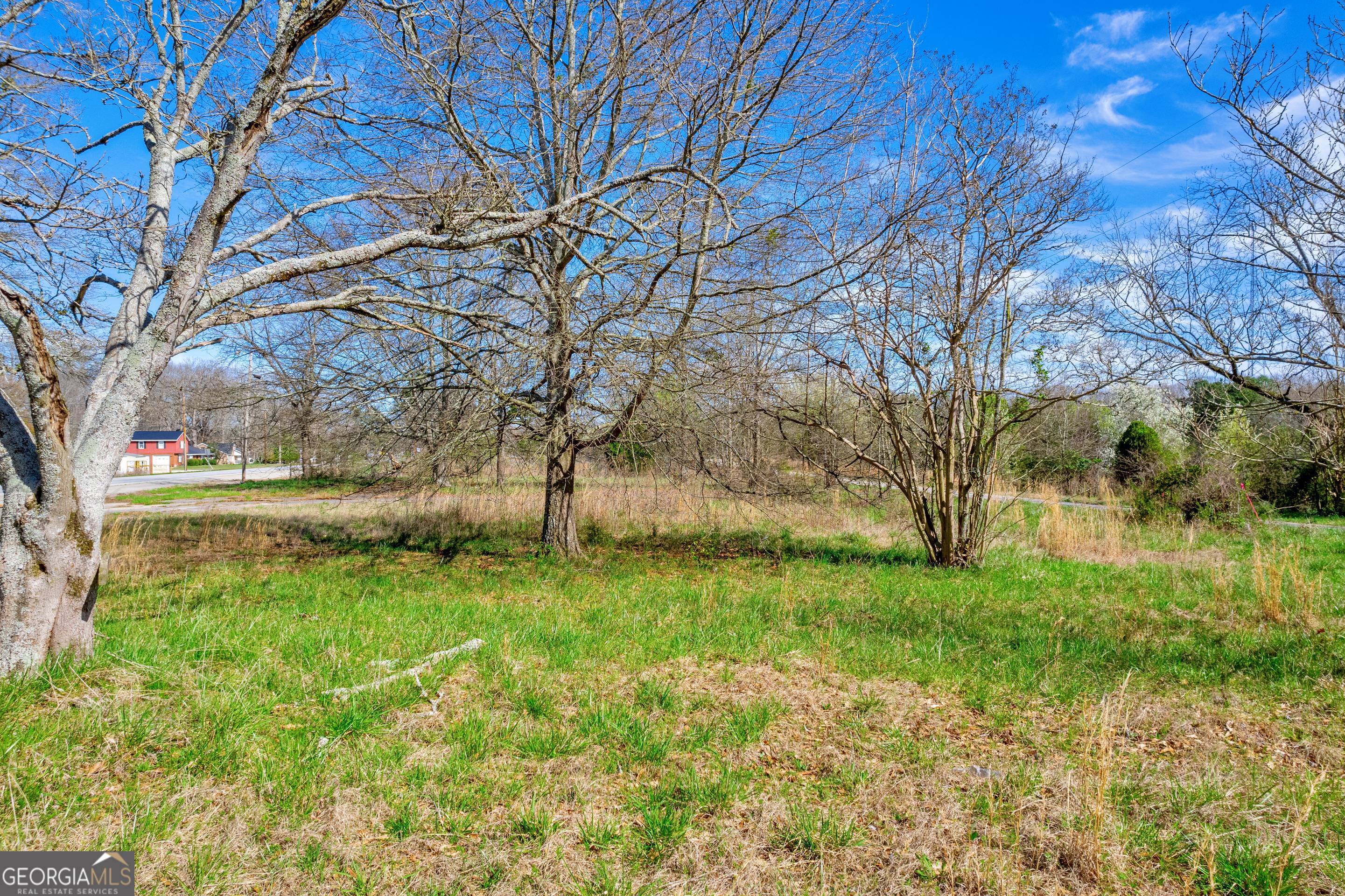 526 Madison Street Commerce, GA 30529 - Photo 6 of 23 a view of backyard with green space