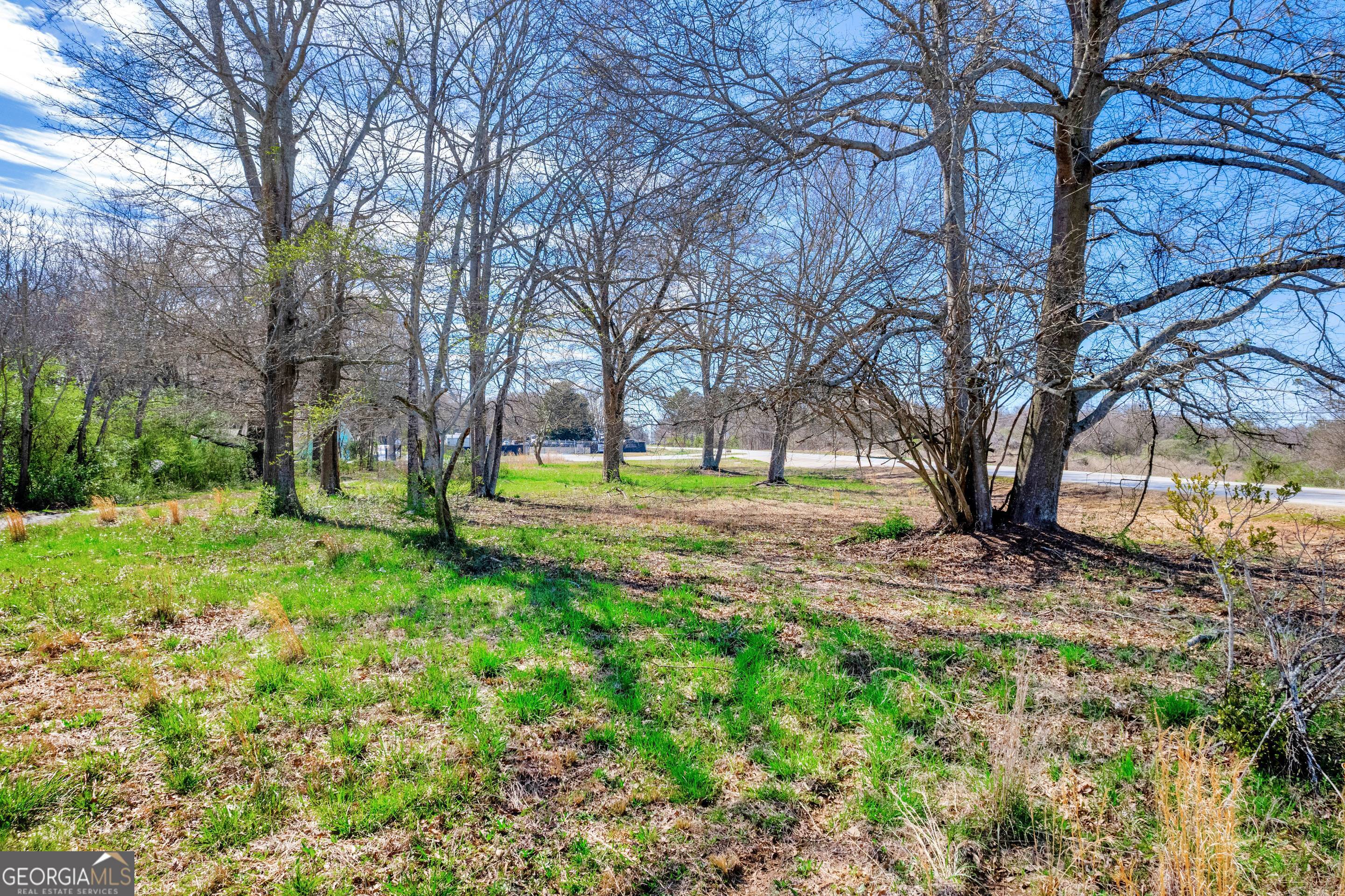 526 Madison Street Commerce, GA 30529 - Photo 7 of 23 a view of a yard with a tree