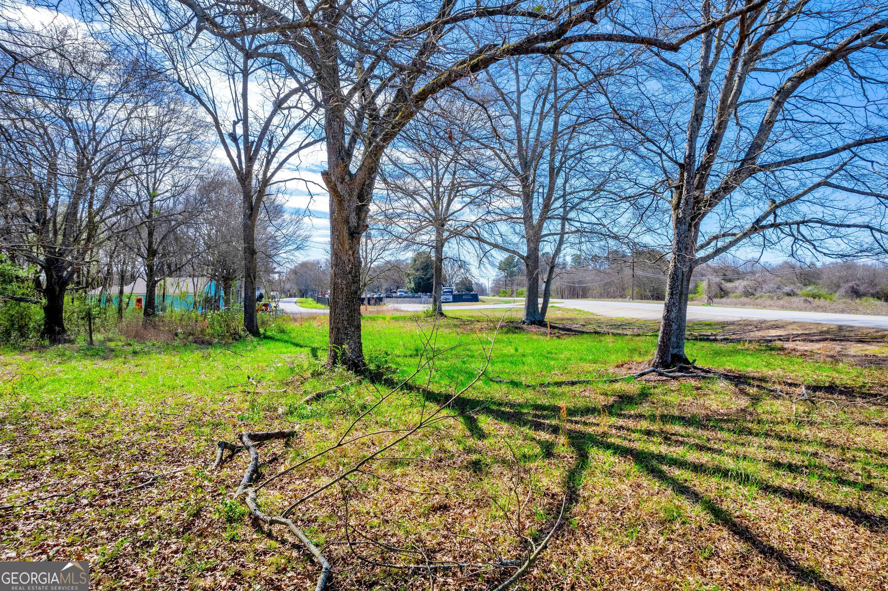 526 Madison Street Commerce, GA 30529 - Photo 8 of 23 a view of a garden with a tree