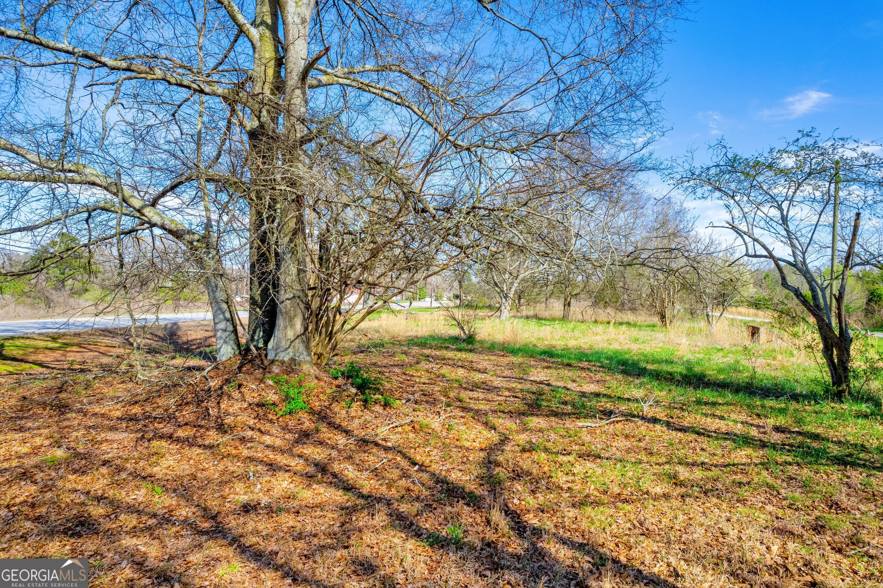 526 Madison Street Commerce, GA 30529 - Photo 9 of 23 a view of yard with green space and trees all around