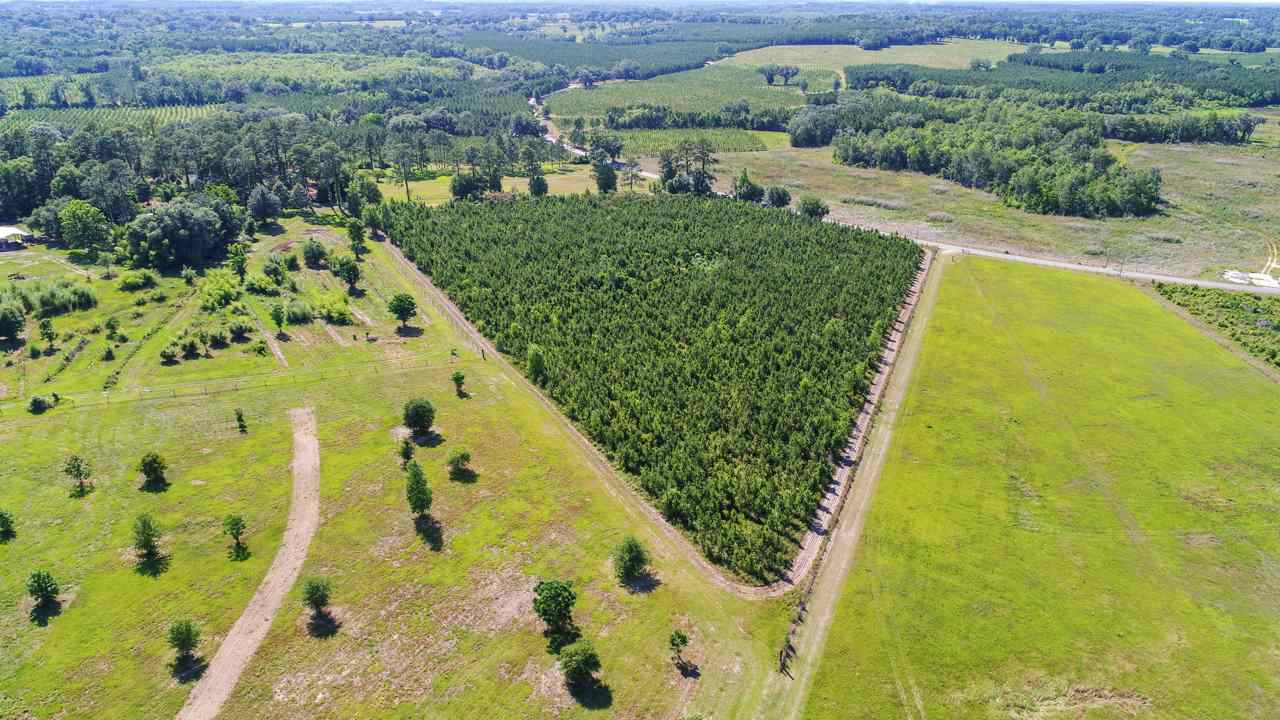 Xxx Government Farm Road Monticello, FL 32344 - Photo 3 of 8 Gallery Image 3