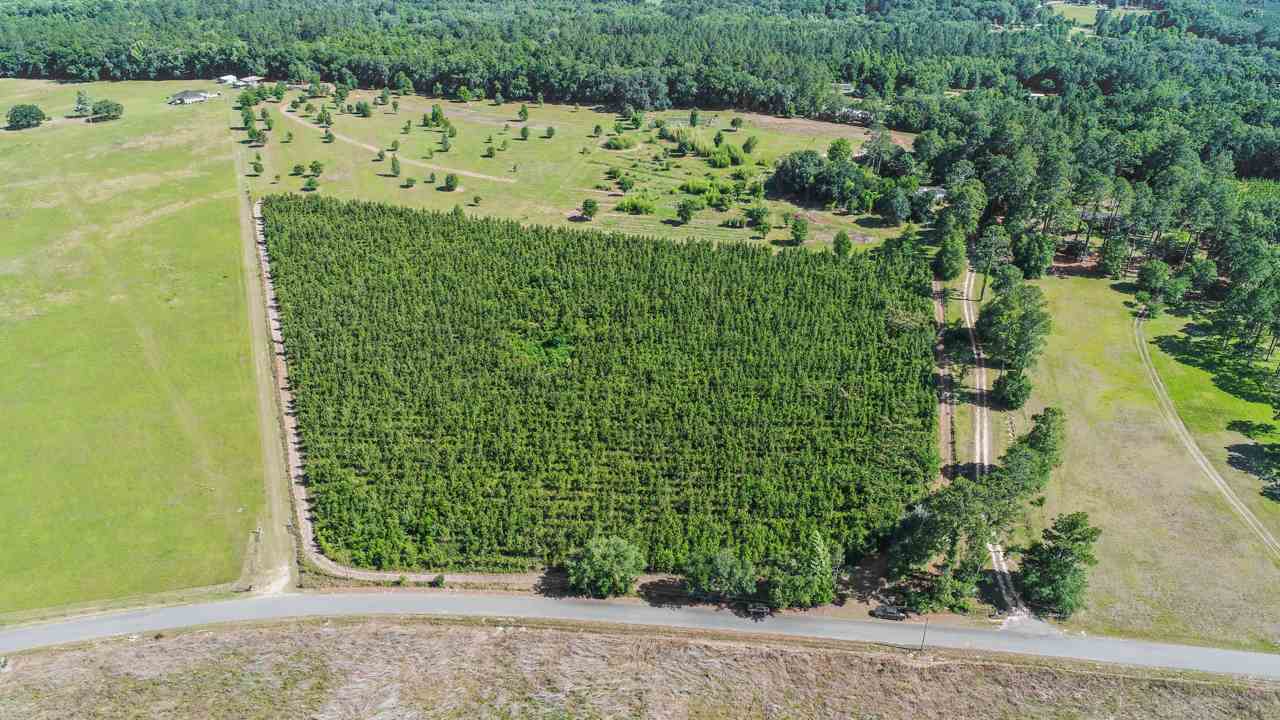 Xxx Government Farm Road Monticello, FL 32344 - Photo 8 of 8 Gallery Image 8