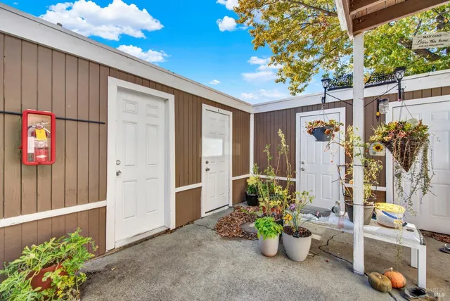 a view of a backyard with garden
