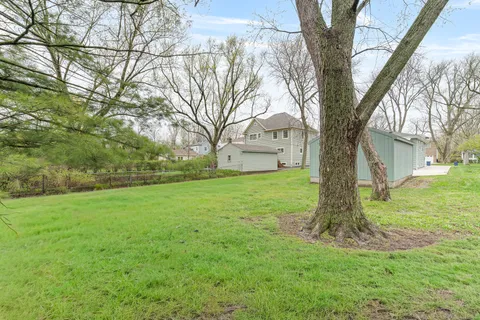 a view of a yard with a tree