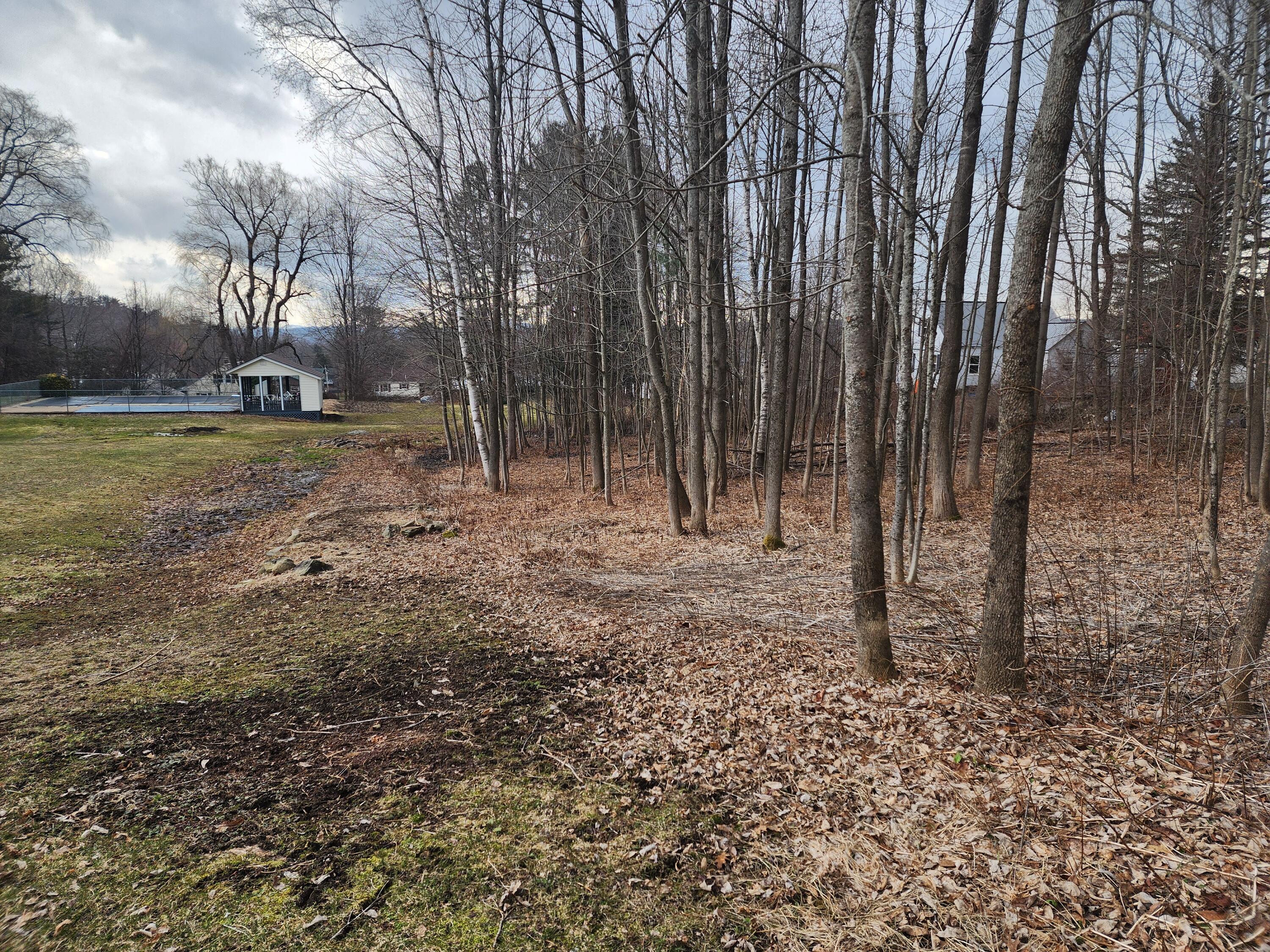 5 Hillsdale Road Jay, ME 04239 - Photo 15 of 59 Mature tree line.