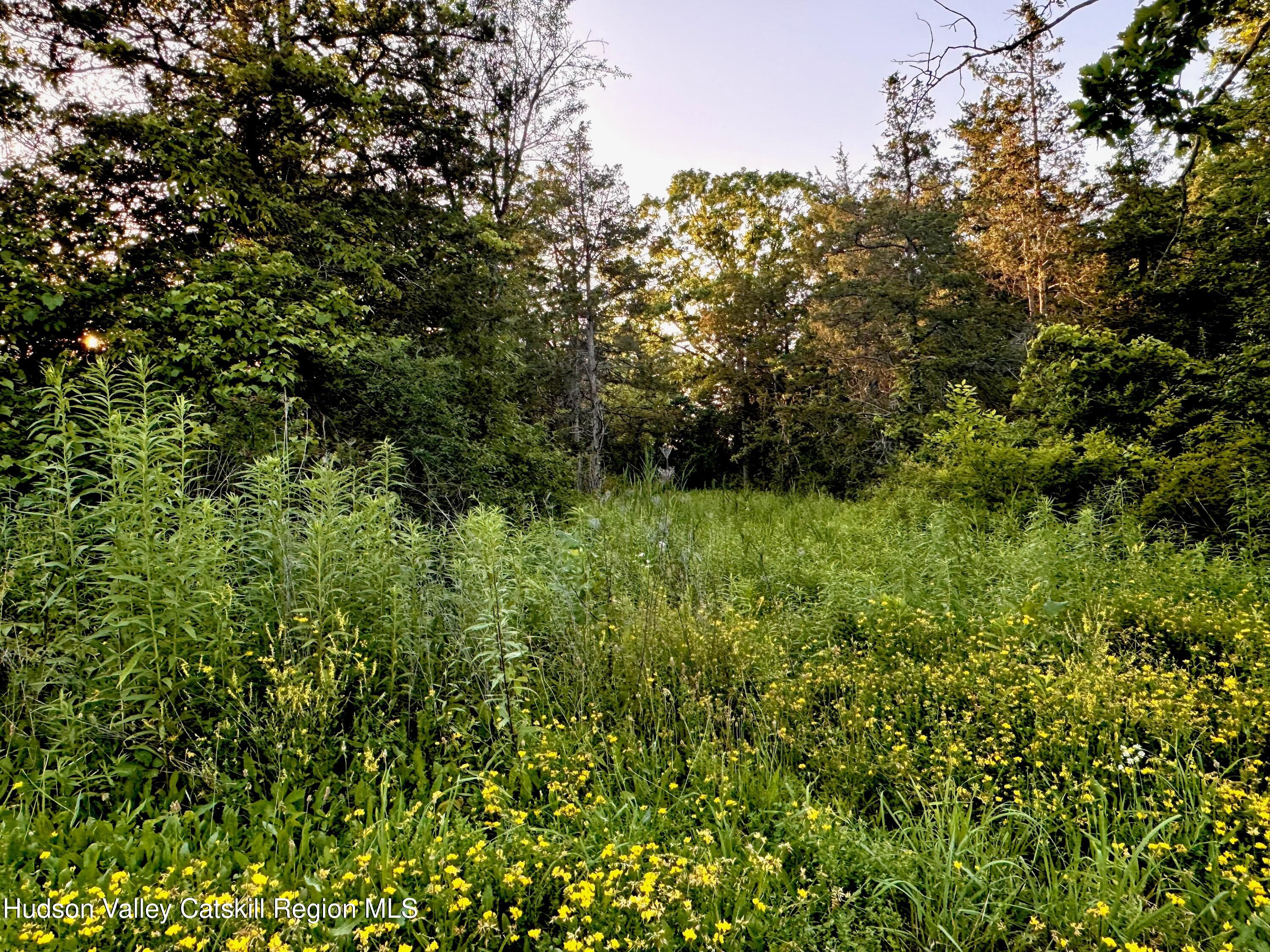 Lot 7 Stickles Road Hudson, NY 12534 - Photo 12 of 13 a view of outdoor space and trees
