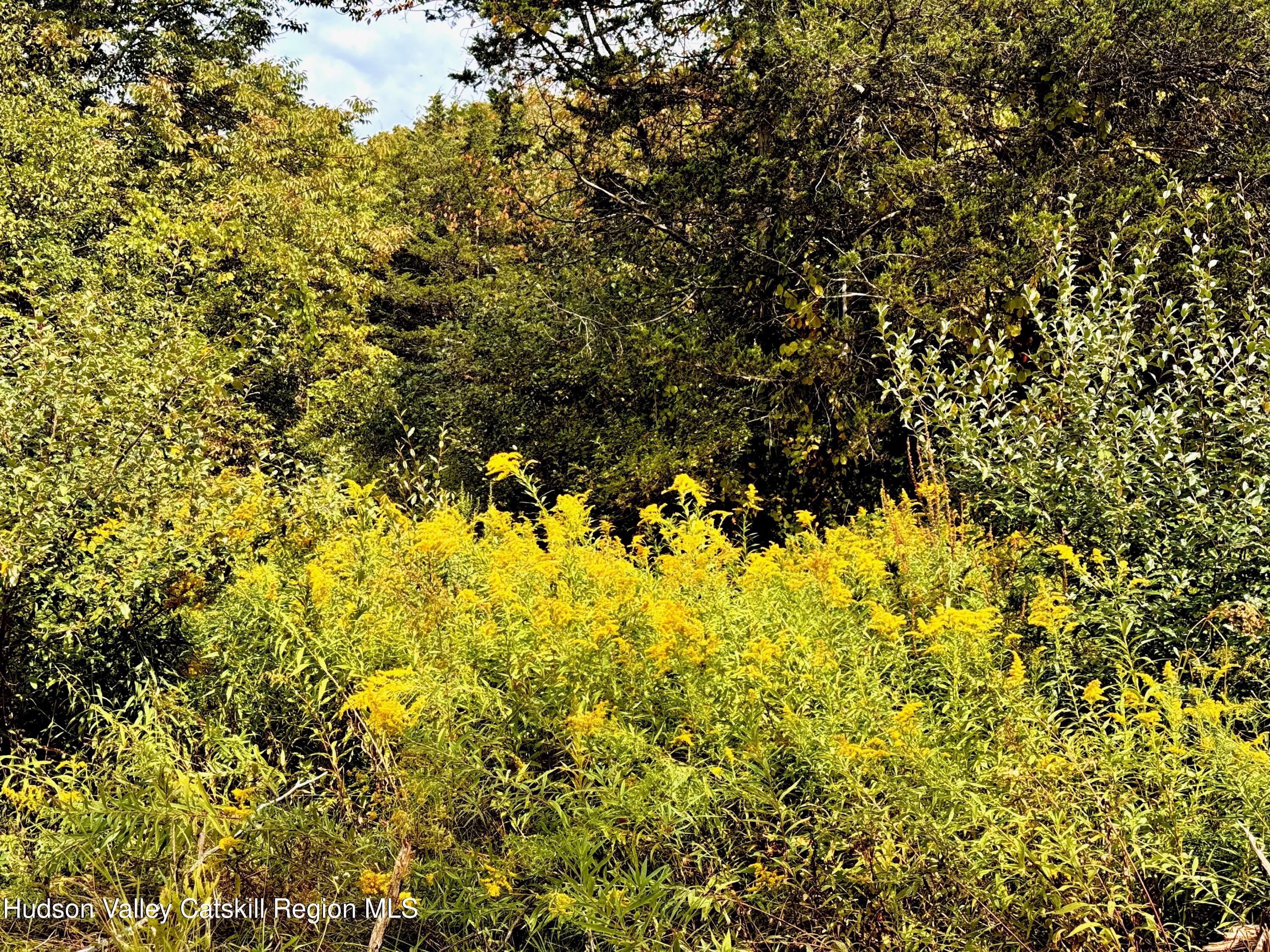 Lot 7 Stickles Road Hudson, NY 12534 - Photo 3 of 13 a view of a large yard