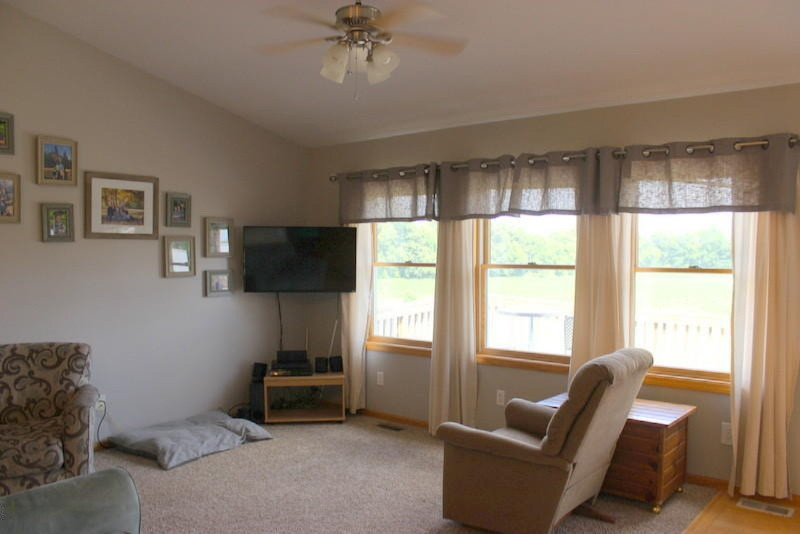 10379 Adams Road Litchfield, MI 49252 - Photo 30 of 52 23-IMG_9500