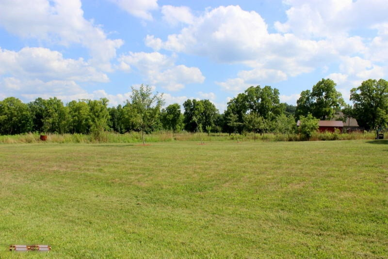 10379 Adams Road Litchfield, MI 49252 - Photo 45 of 52 40-IMG_9527
