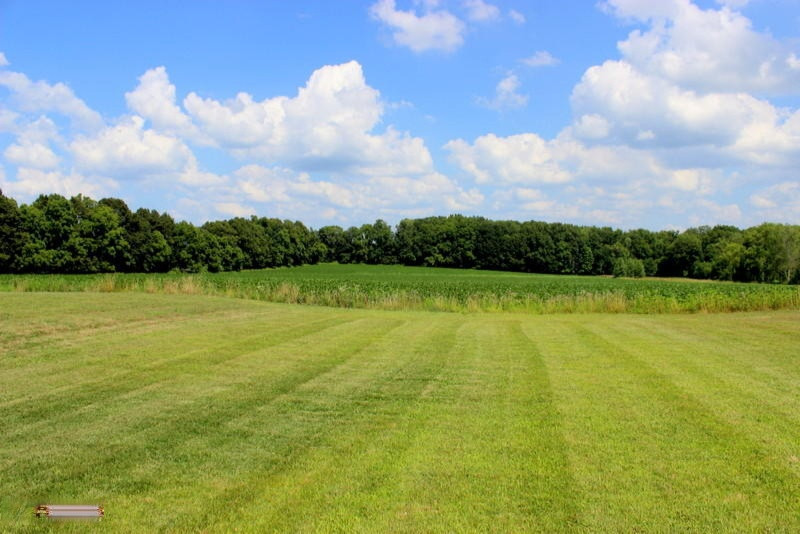 10379 Adams Road Litchfield, MI 49252 - Photo 8 of 52 39-IMG_9526