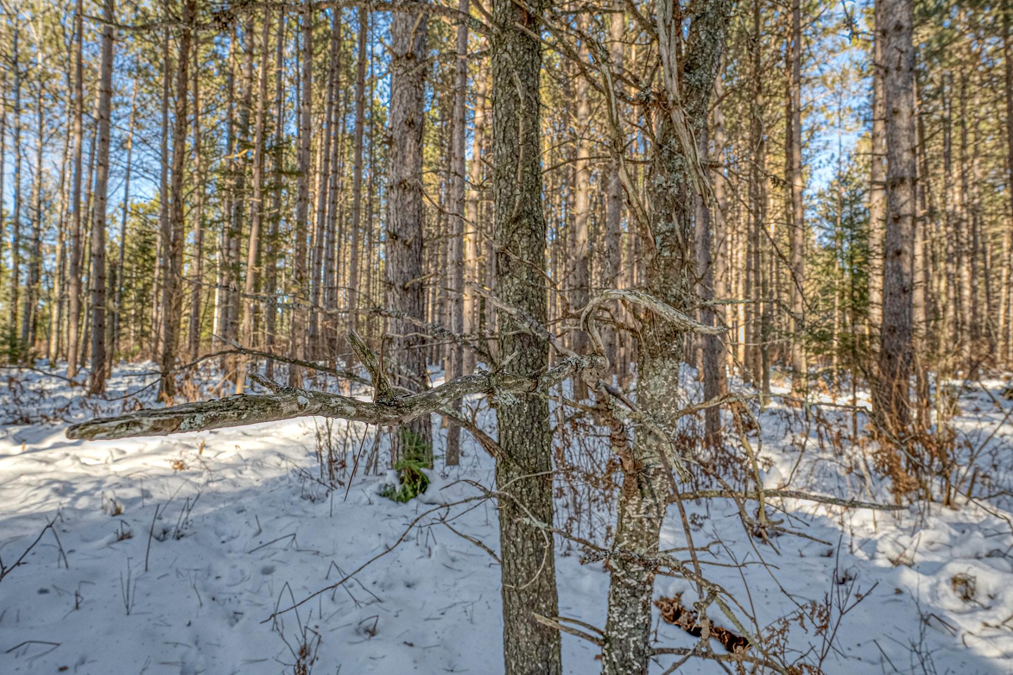 Off Deerskin Road, Unit LOT 4 Eagle River, WI 54521 - Photo 13 of 23 Gallery Image 13
