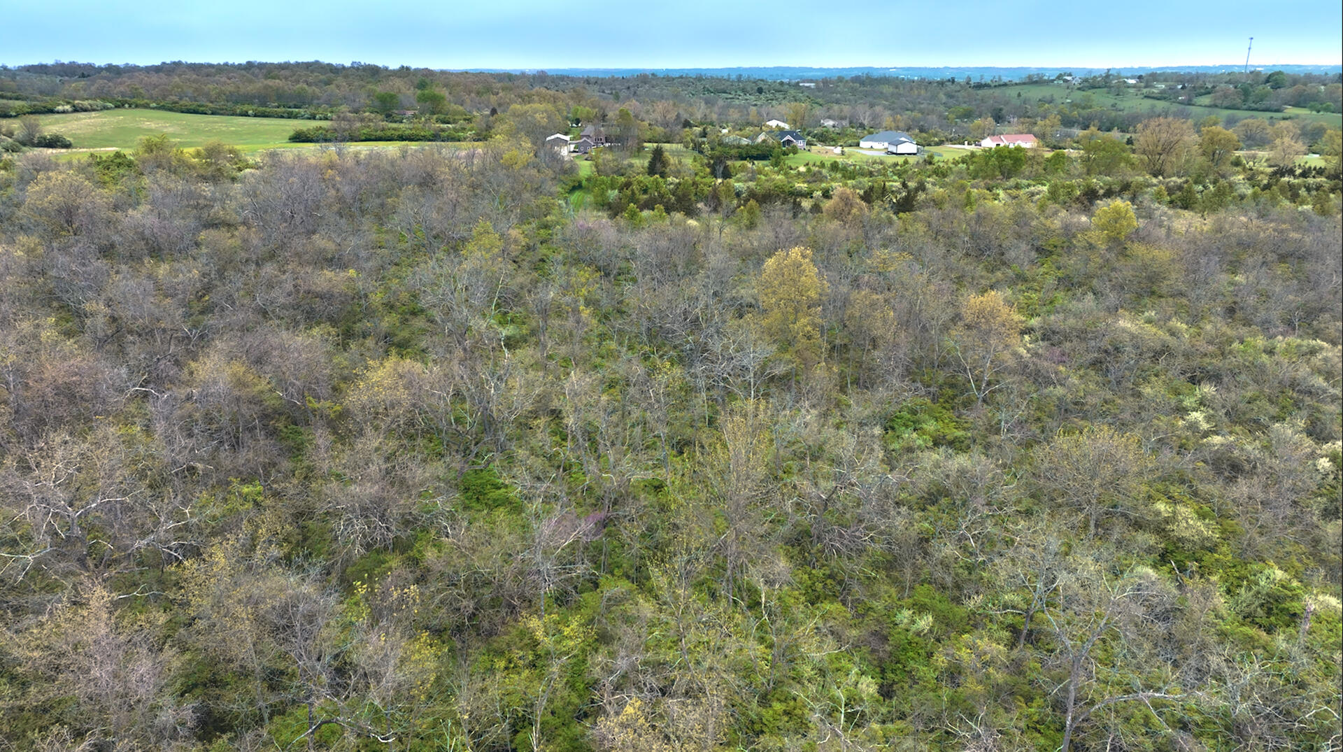 1907 West Elkton Road Hamilton, OH 45013 - Photo 8 of 13