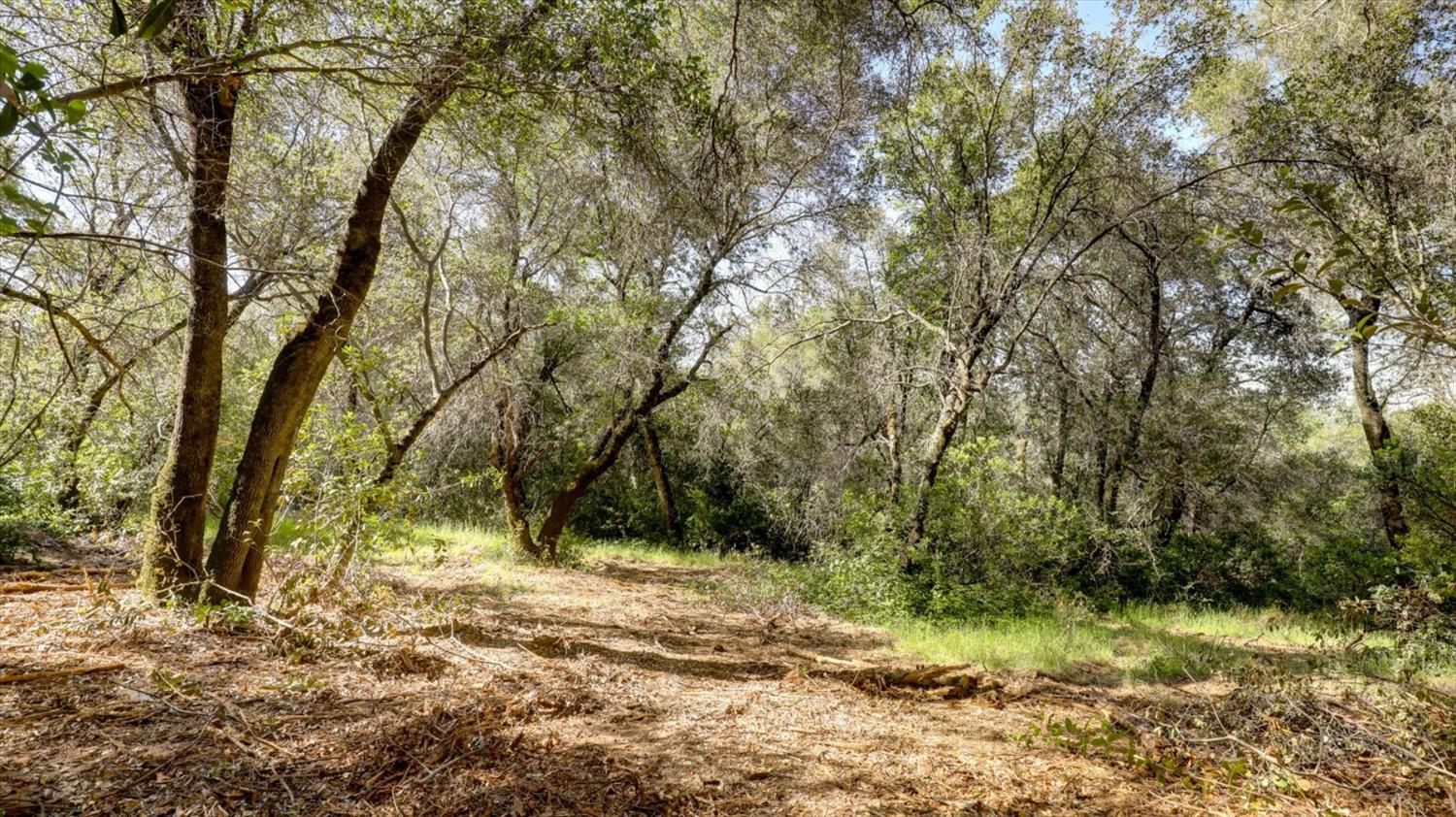0 Southridge Road Penn Valley, CA 95946 - Photo 58 of 72