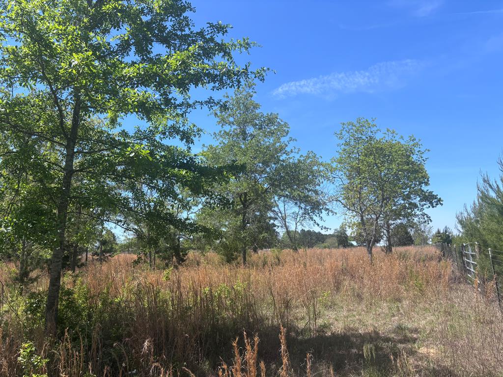 5-ac Kirkland Store Road Mauk, GA 31058 - Photo 3 of 17 Gallery Image 3