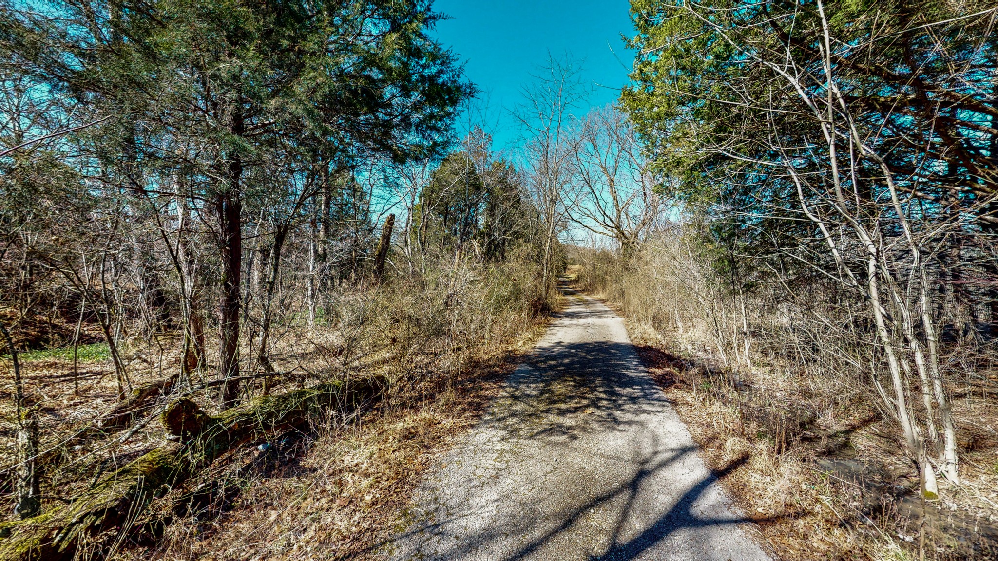 1080 Cairo Bend Road Lebanon, TN 37087 - Photo 4 of 8
