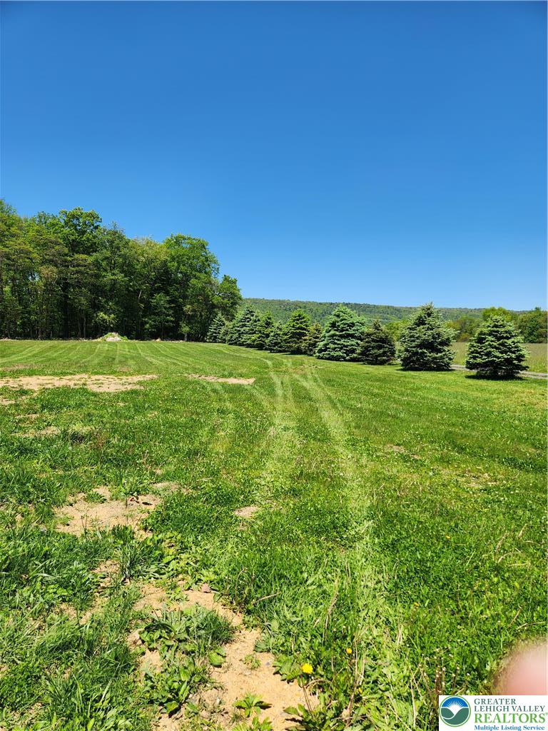 3961 Mountain Road Slatington, PA 18080 - Photo 2 of 3 Expansive green yard extends towards a lush tree line, offering a serene outdoor setting.