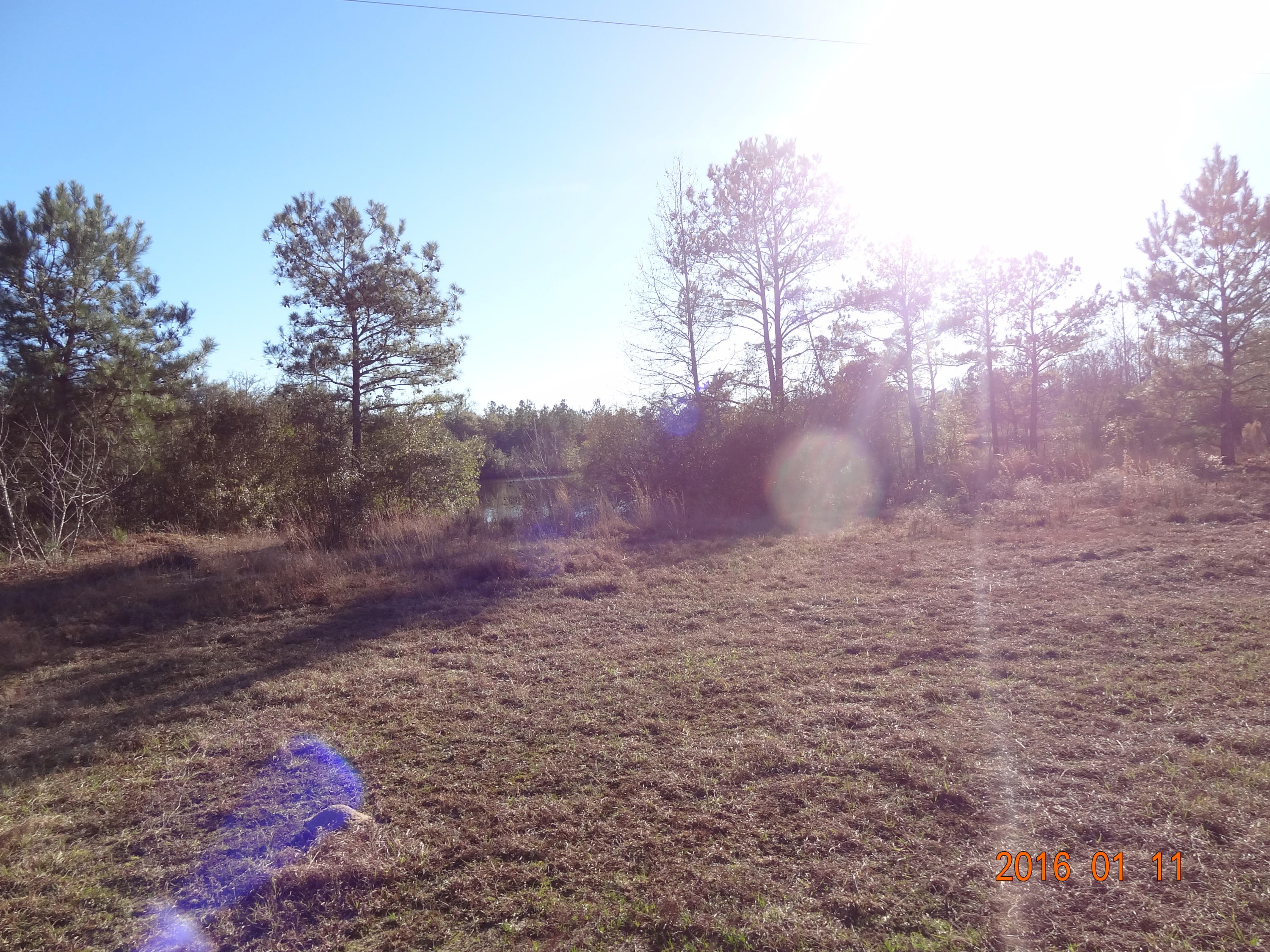 5547 Mt Carmel Road Walterboro, SC 29488 - Photo 14 of 14 DSC04916