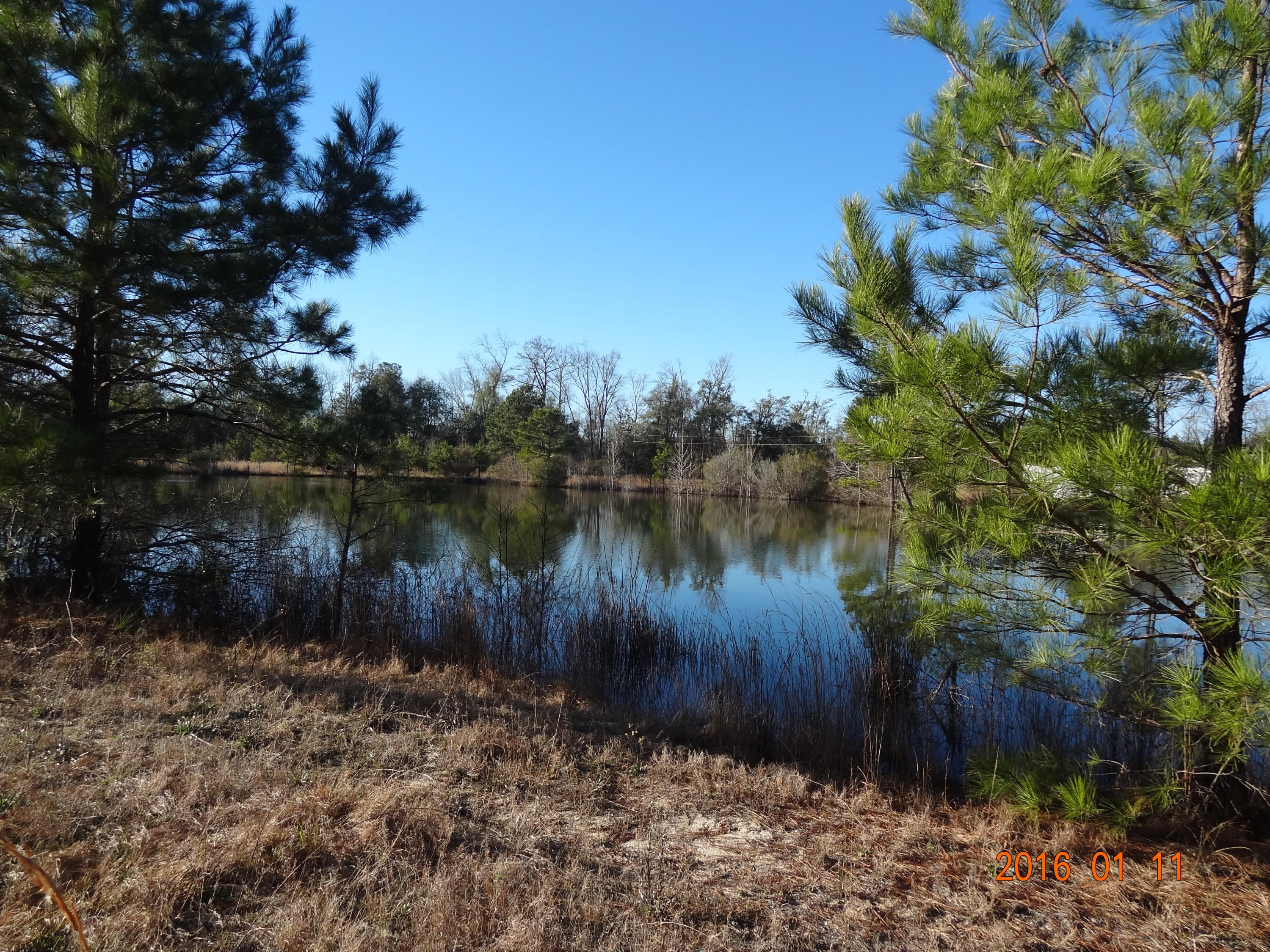 5547 Mt Carmel Road Walterboro, SC 29488 - Photo 3 of 14 DSC04904