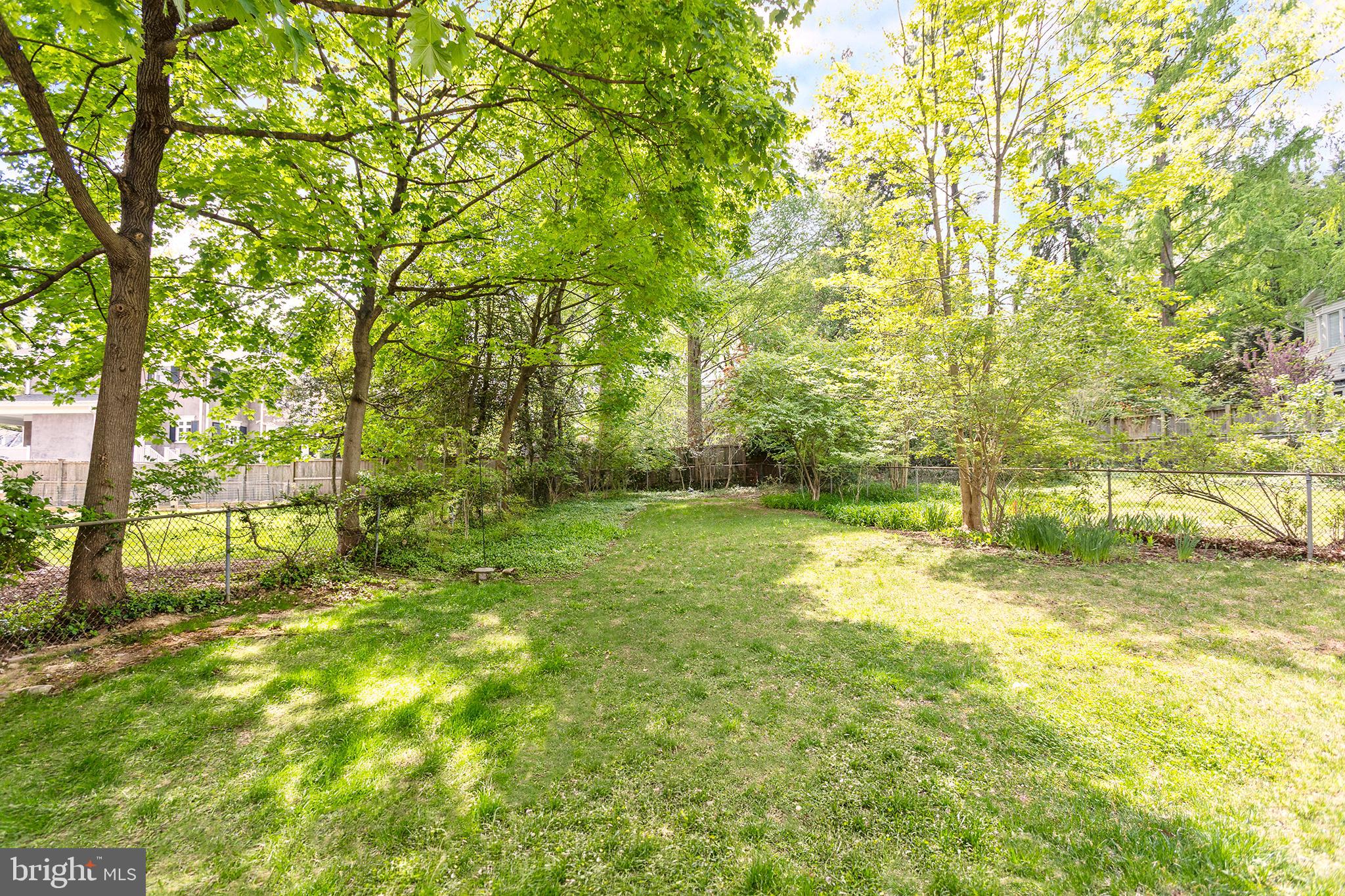 3706 Spring Street Chevy Chase, MD 20815 - Photo 56 of 63 Rear Yard