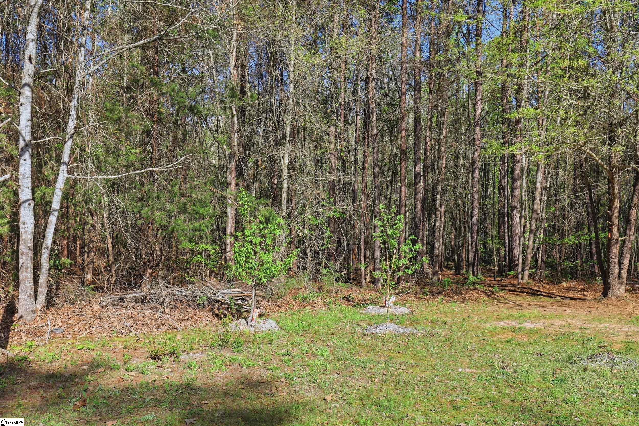 88 Deer Valley Road Laurens, SC 29360 - Photo 25 of 40